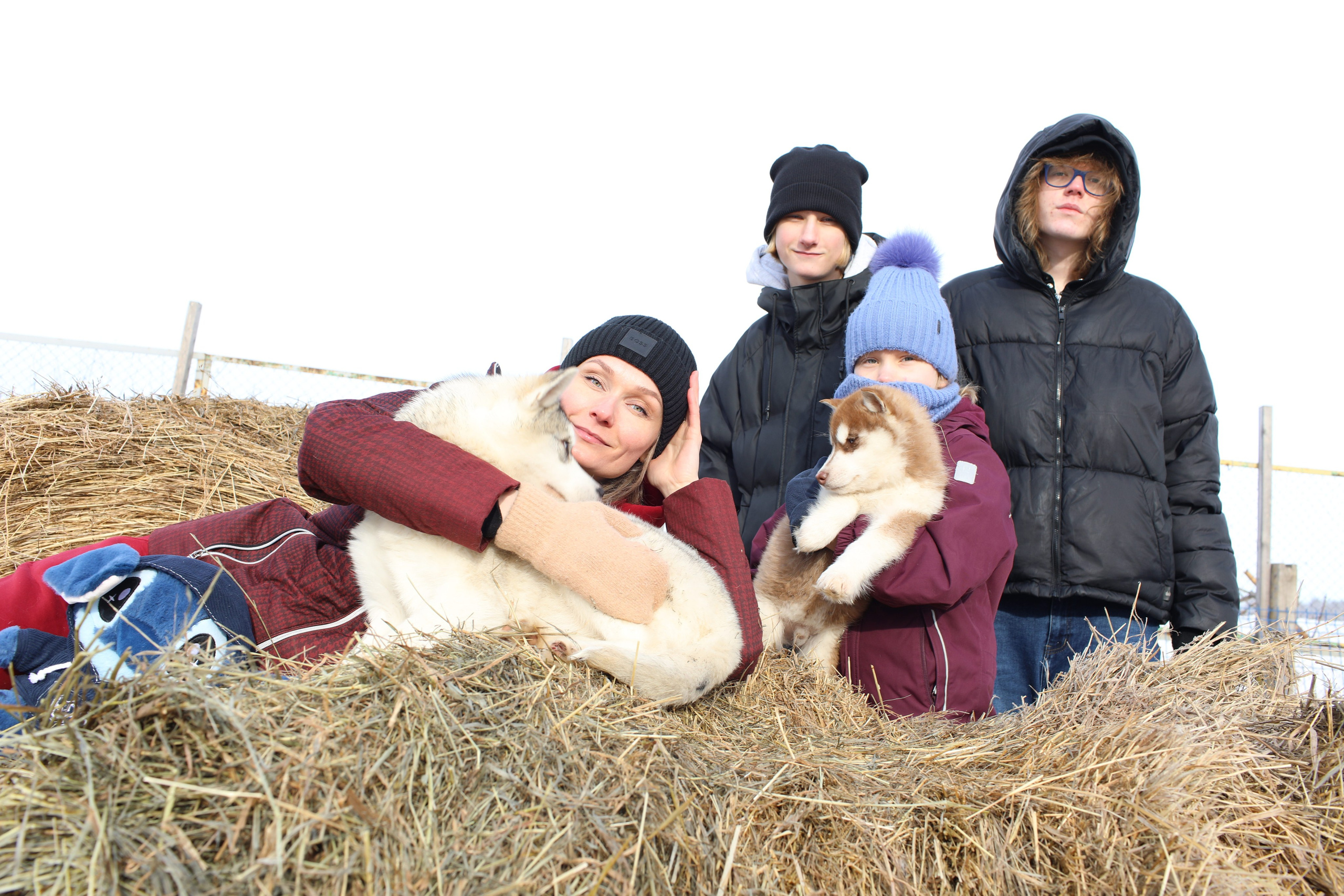 Наши партнеры. Иволга74