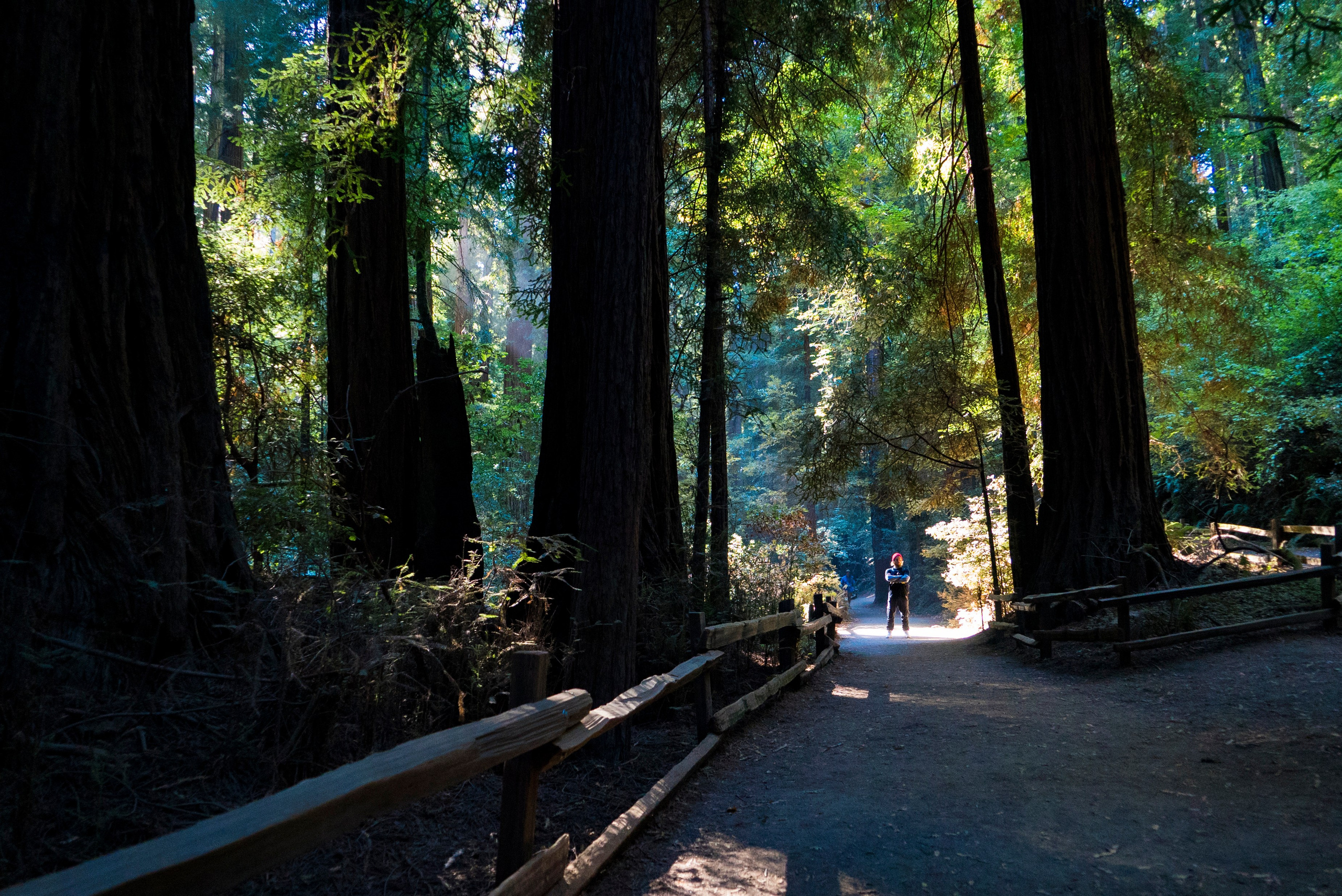 Природа. Василий Буйлов|Vasilii Builov