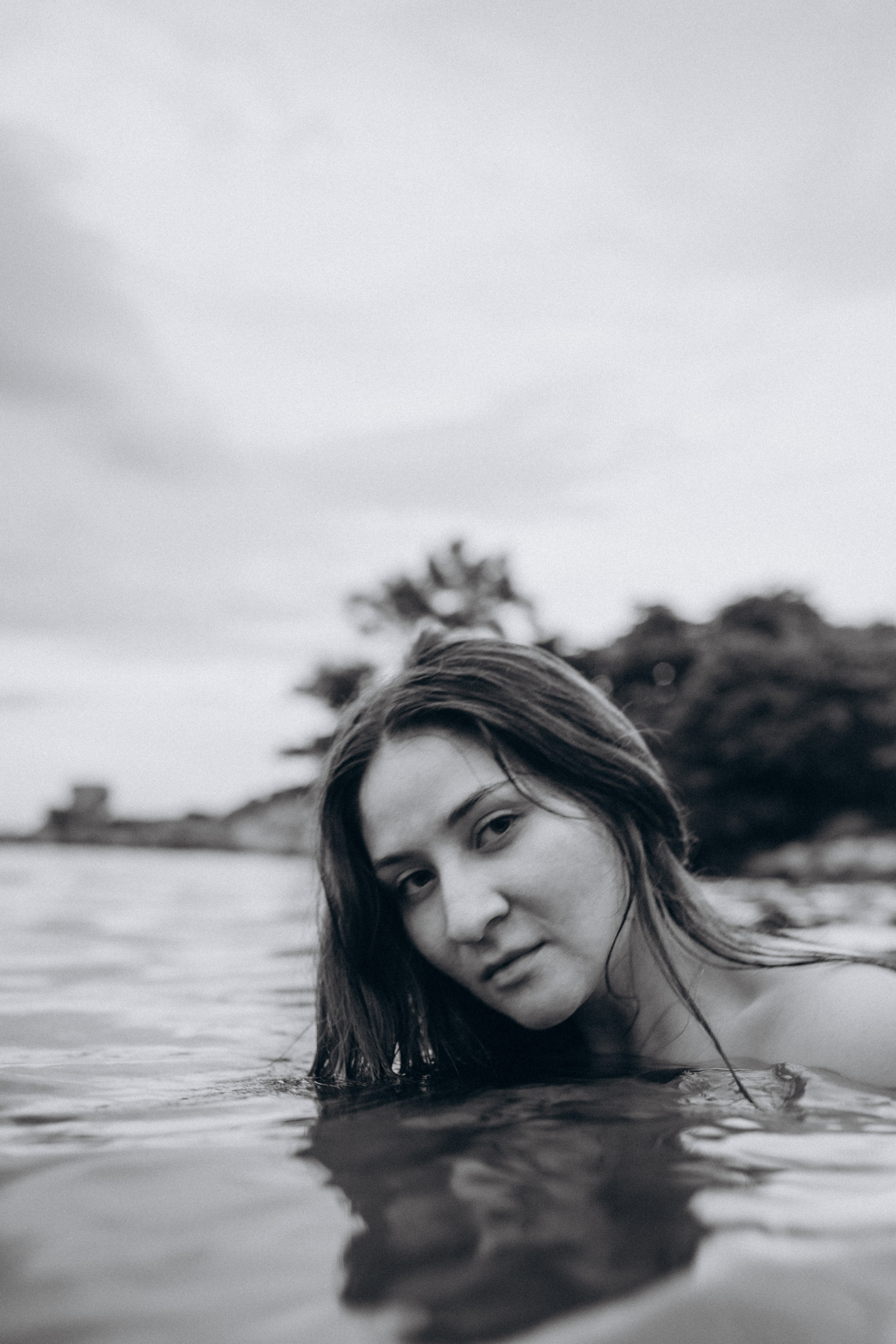 Лилия «сад камней» Вьетнам. Главная