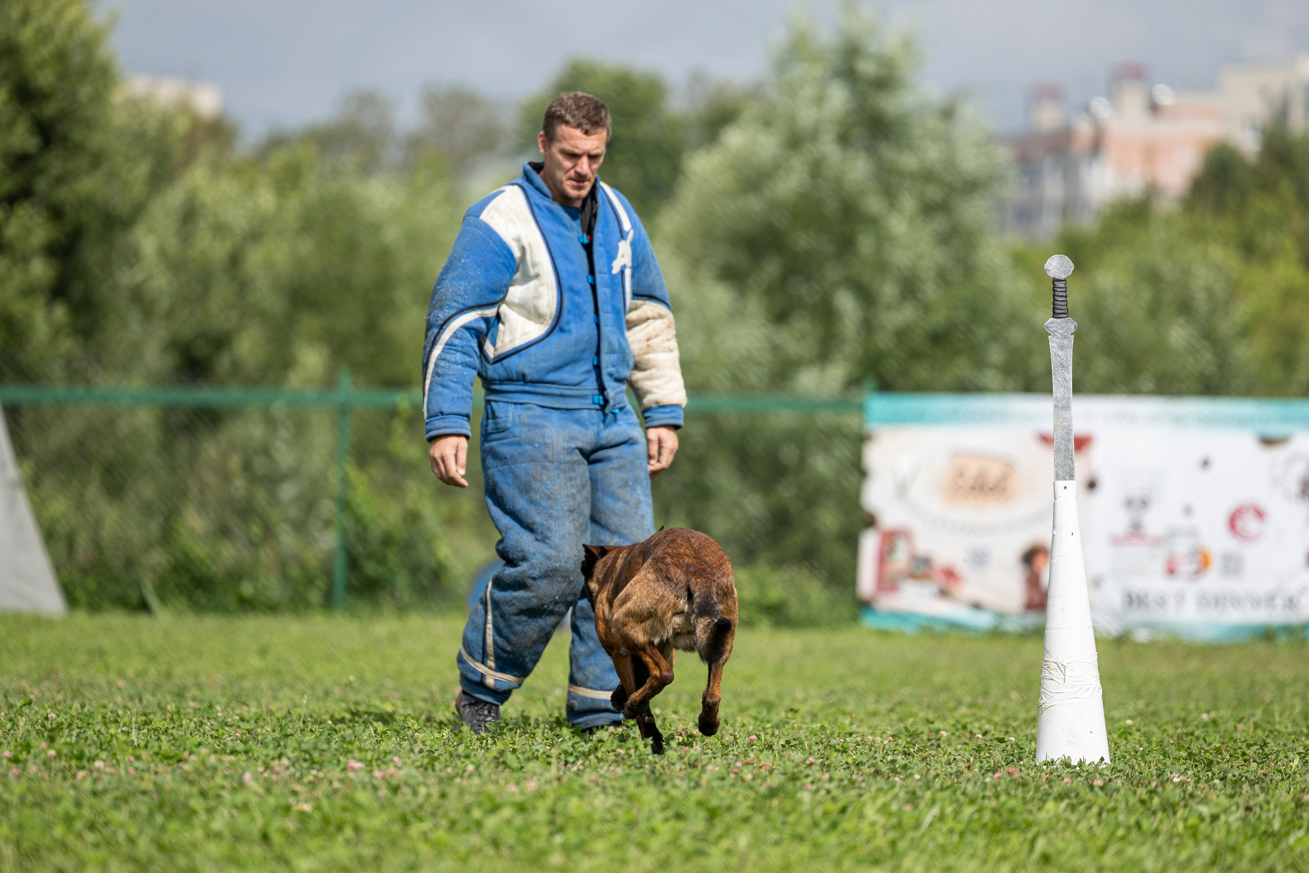 Соревнования по Мондьорингу г. Вологда 10-11.08.2024. Фотограф-анималист Анна Маринич