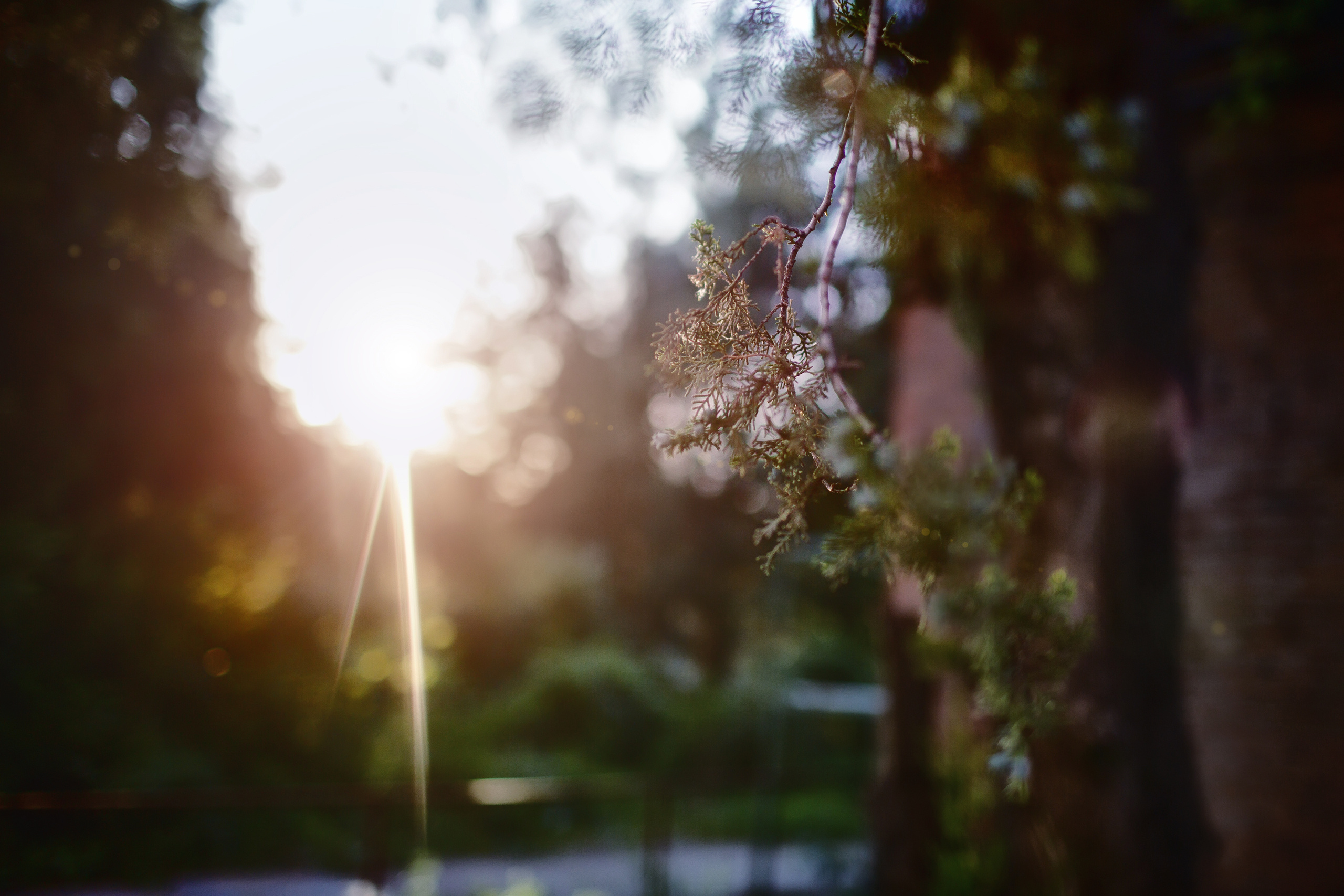 Фотосессии. Свадебный и семейный фотограф Марина Душаткина