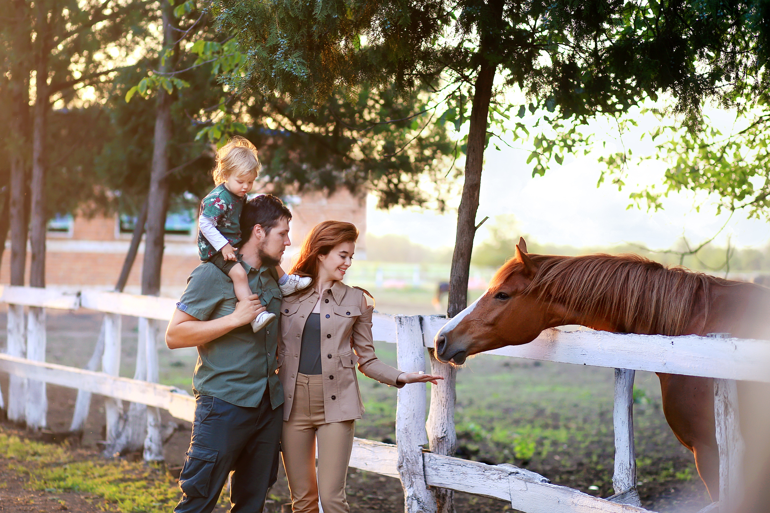 Фотосессии. Свадебный и семейный фотограф Марина Душаткина