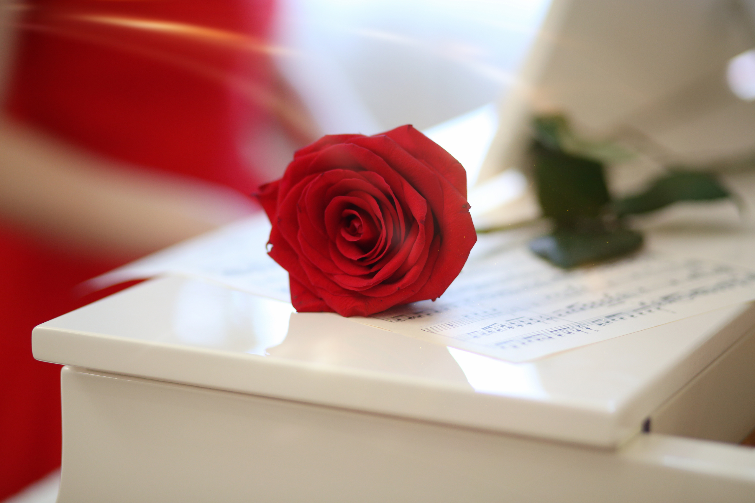 Проекты-студия. Свадебный и семейный фотограф Марина Душаткина