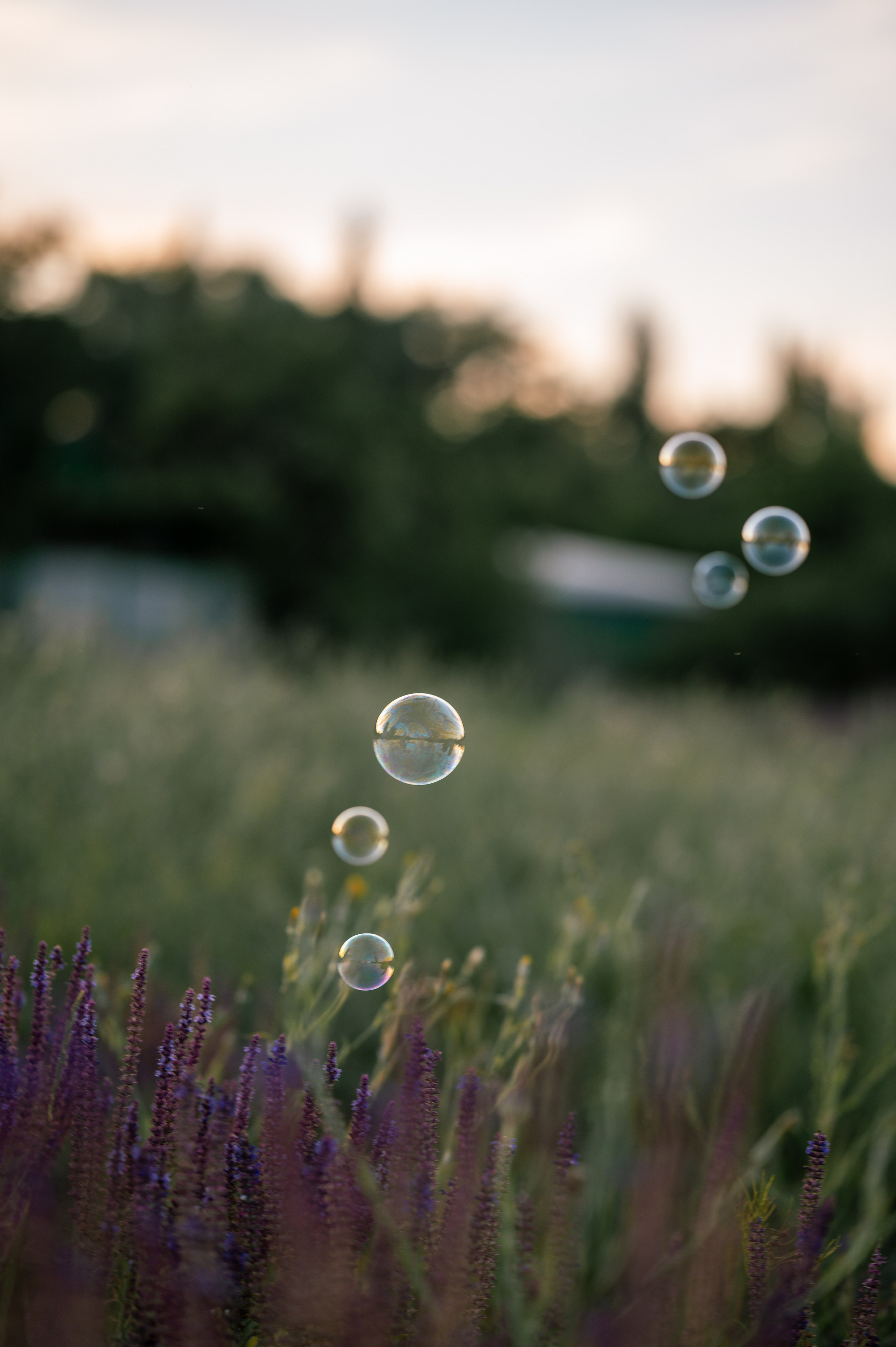 Сёстры. Ангелина & Эвелина. Свадебный и семейный фотограф в Миллерово и Ростове Алёна Черепенина