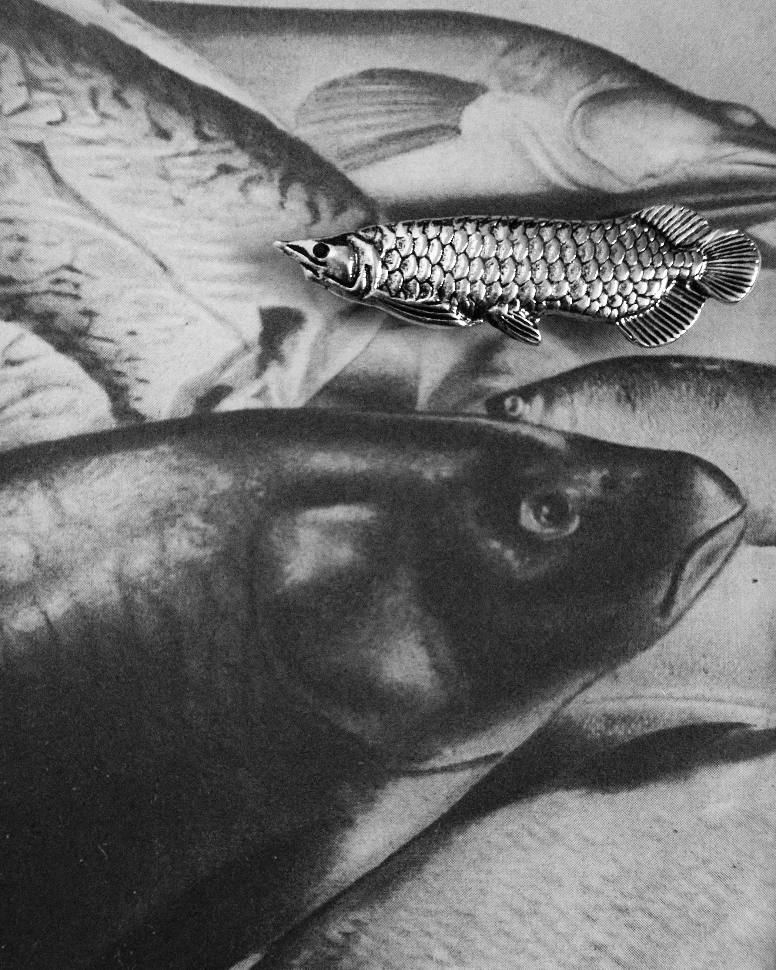 О предметах / still life. Коммерческий фотограф в Брянске Ольга Вороная