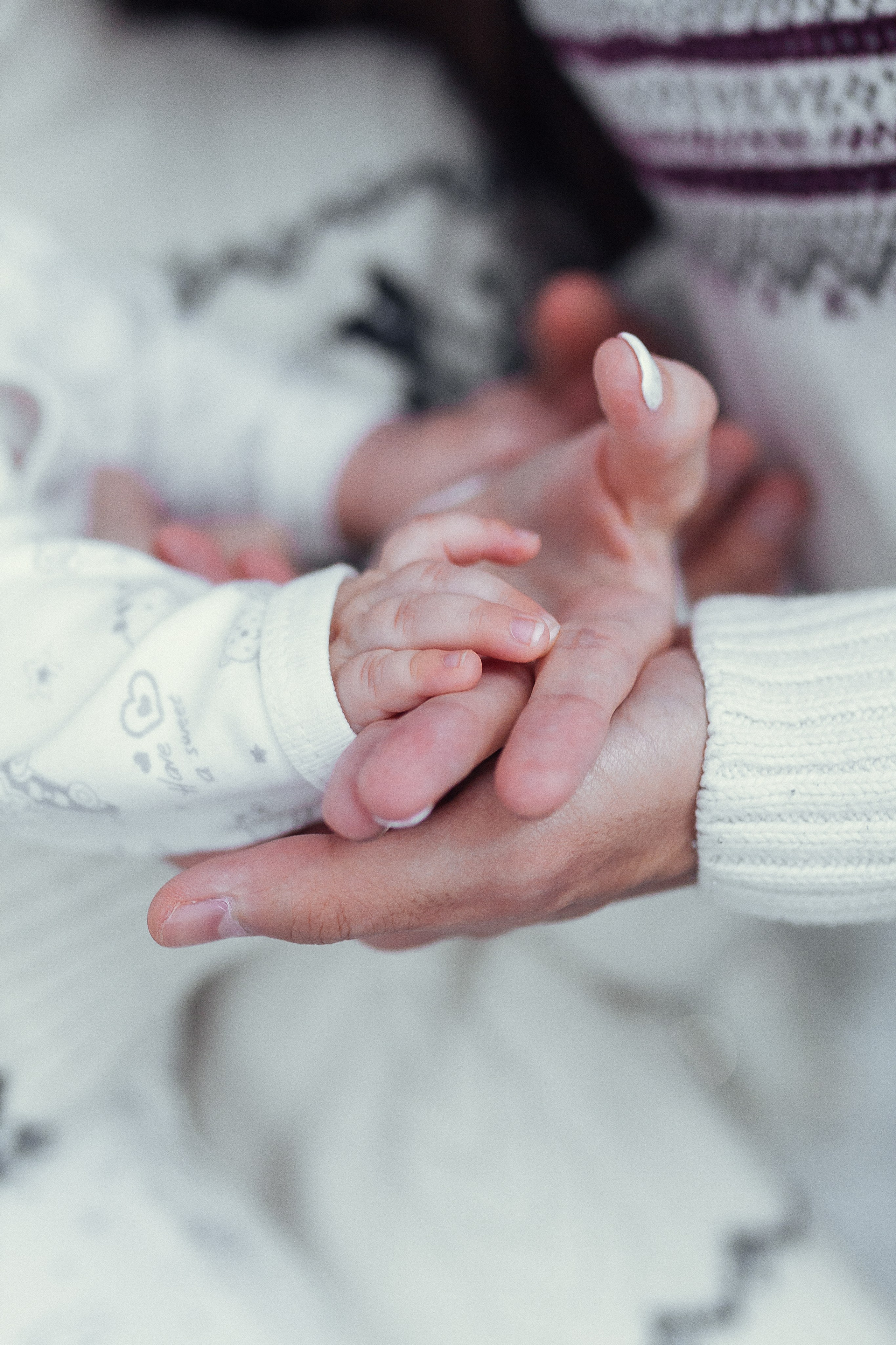 Зиля с семьей. Новогодняя фотосессия в студии. Профессиональный фотограф, Москва |Видное Елена Елизарова