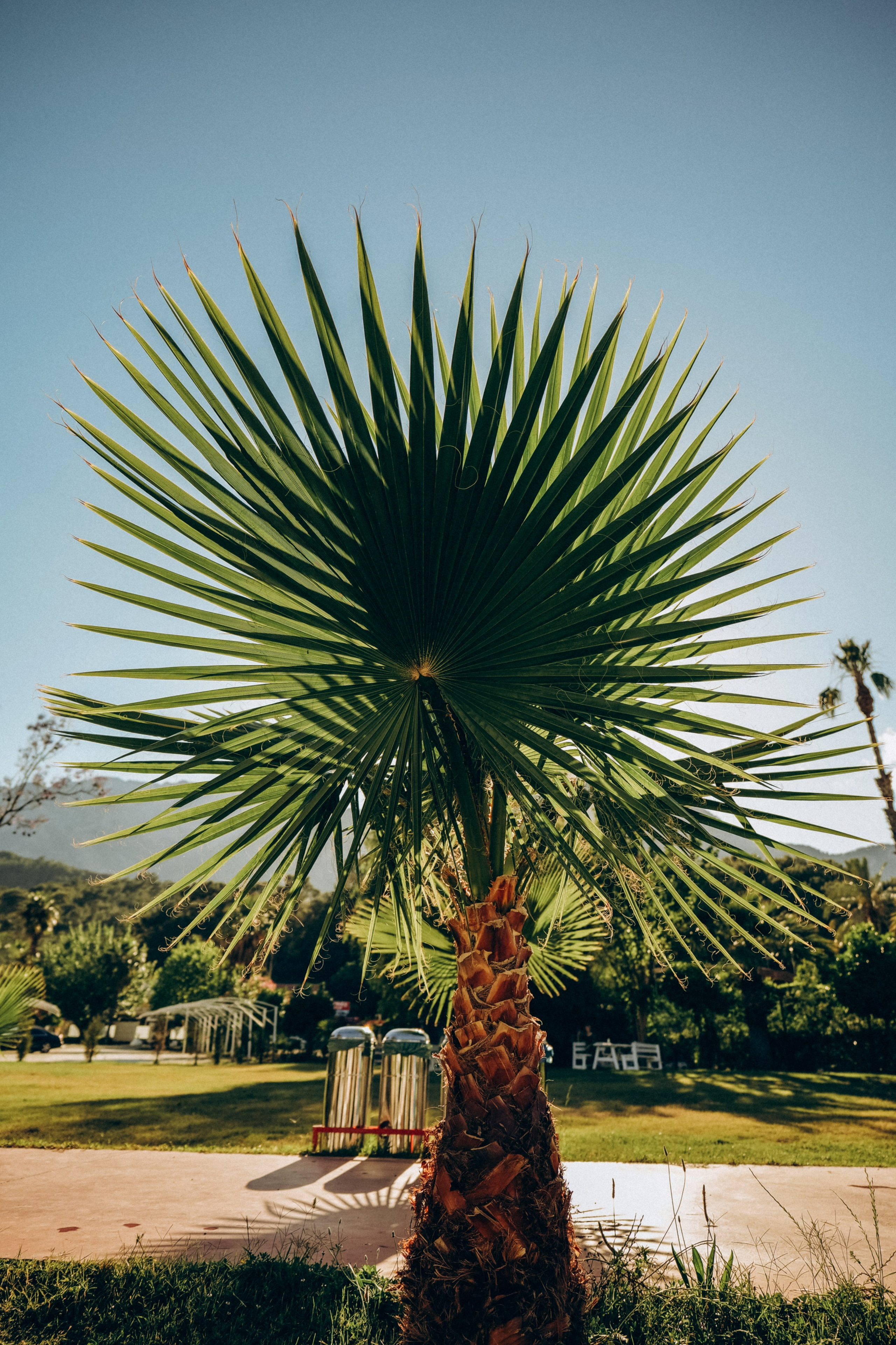 Наш отдых в Турции