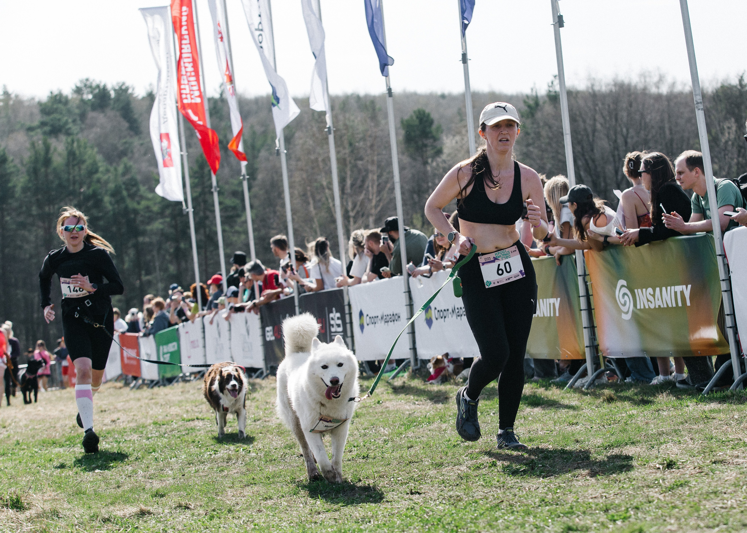 Кросс «Быстрый пёс» 2025. Репортажный фотограф в Москве