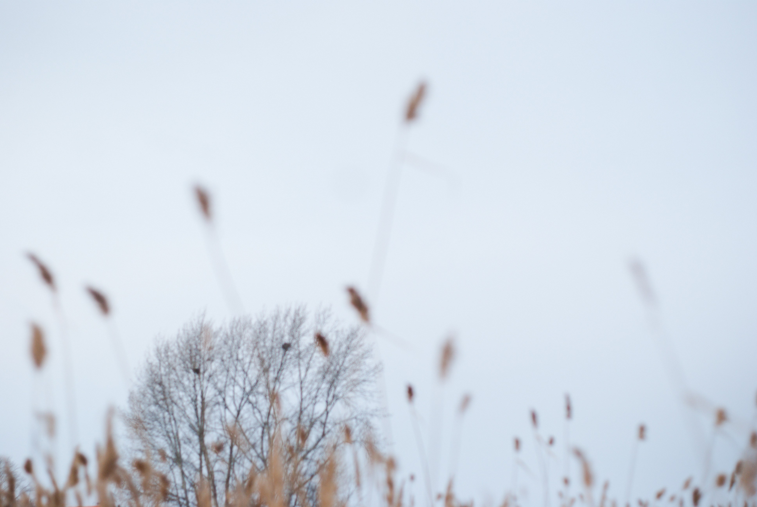 Этот прекрасный мир