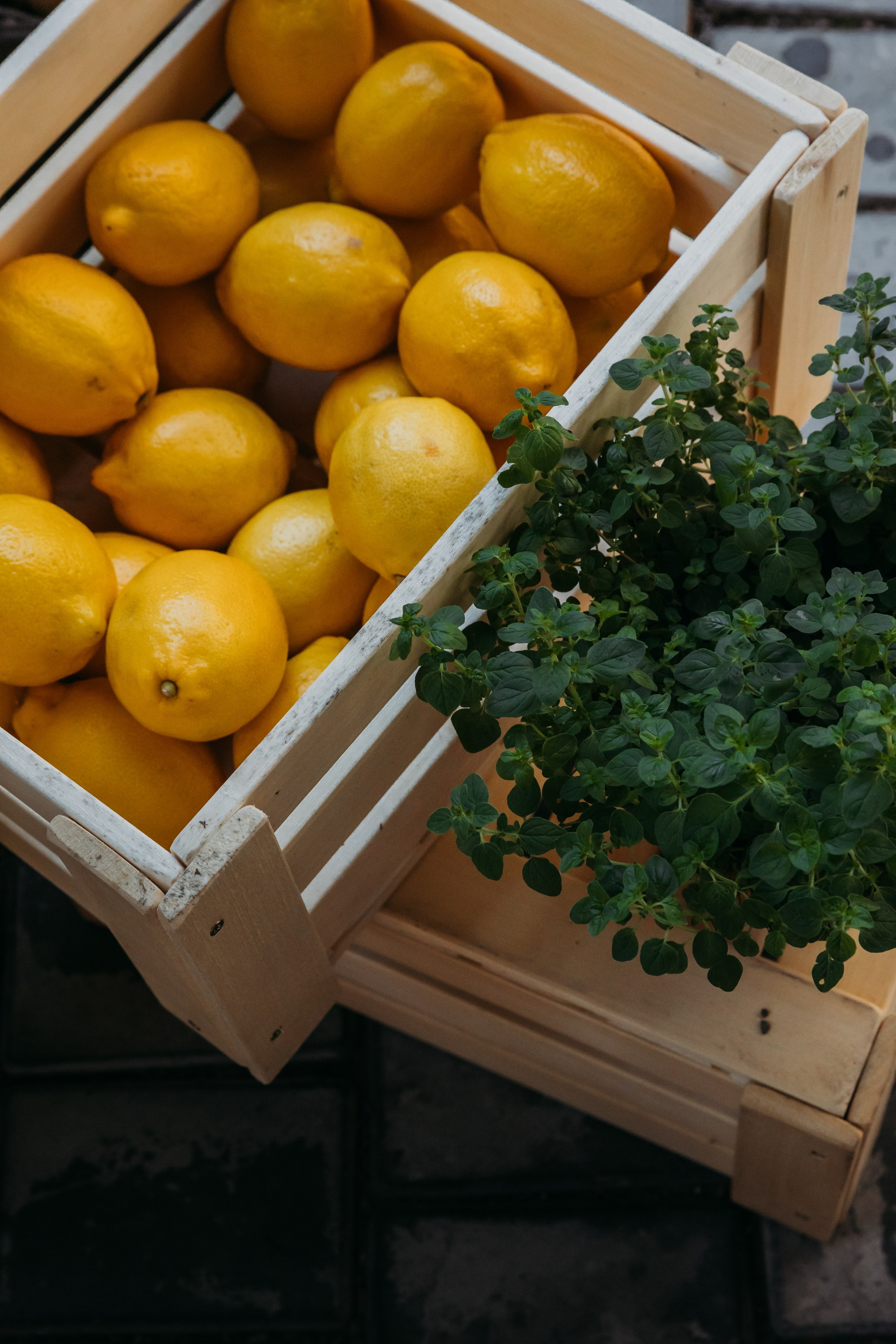 Родные люди «Итальянский день». Леся Гаранина. Семейный фотограф/видеограф Москва и область