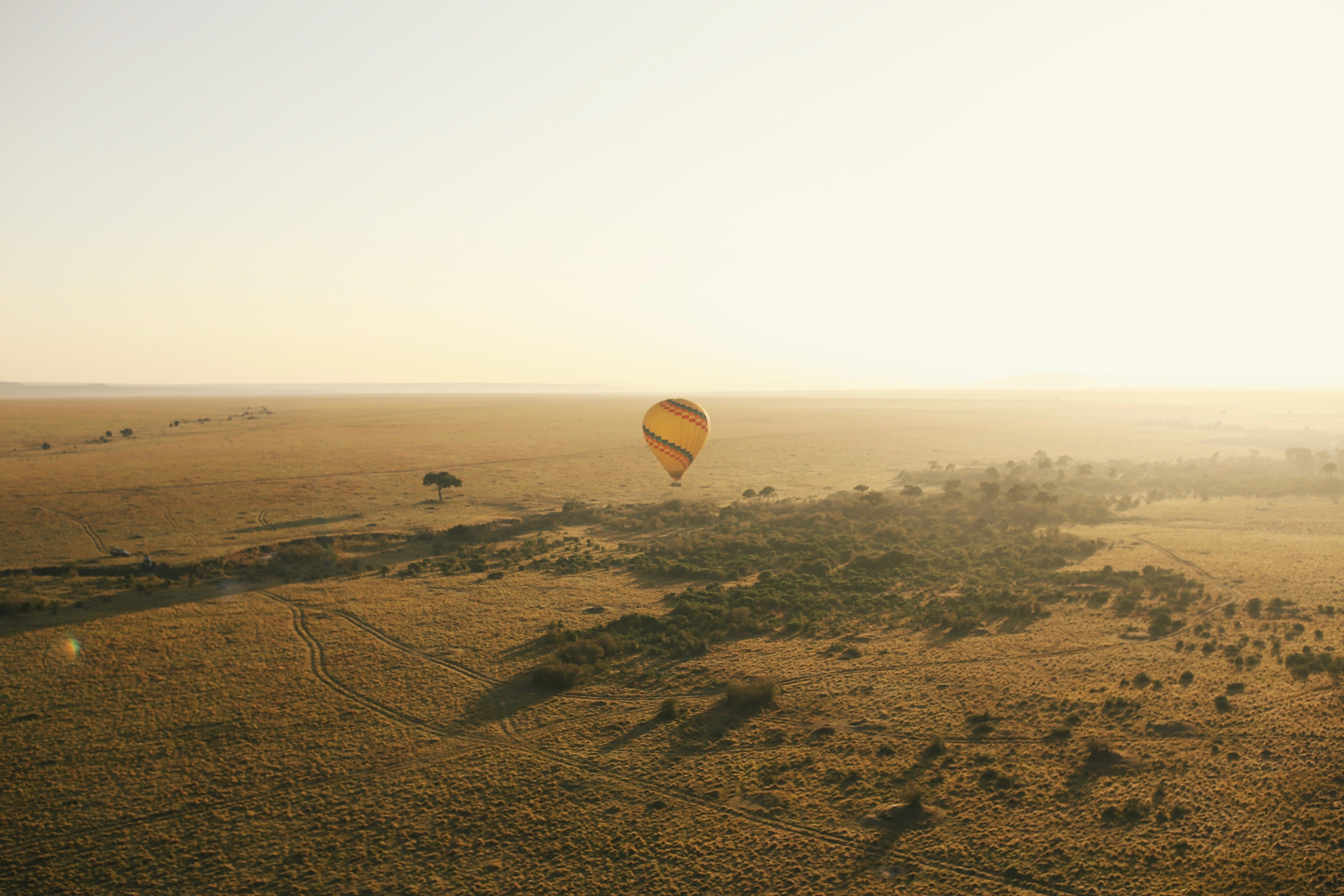 Kenya. Safari. Ekaterina Buneeva Photography