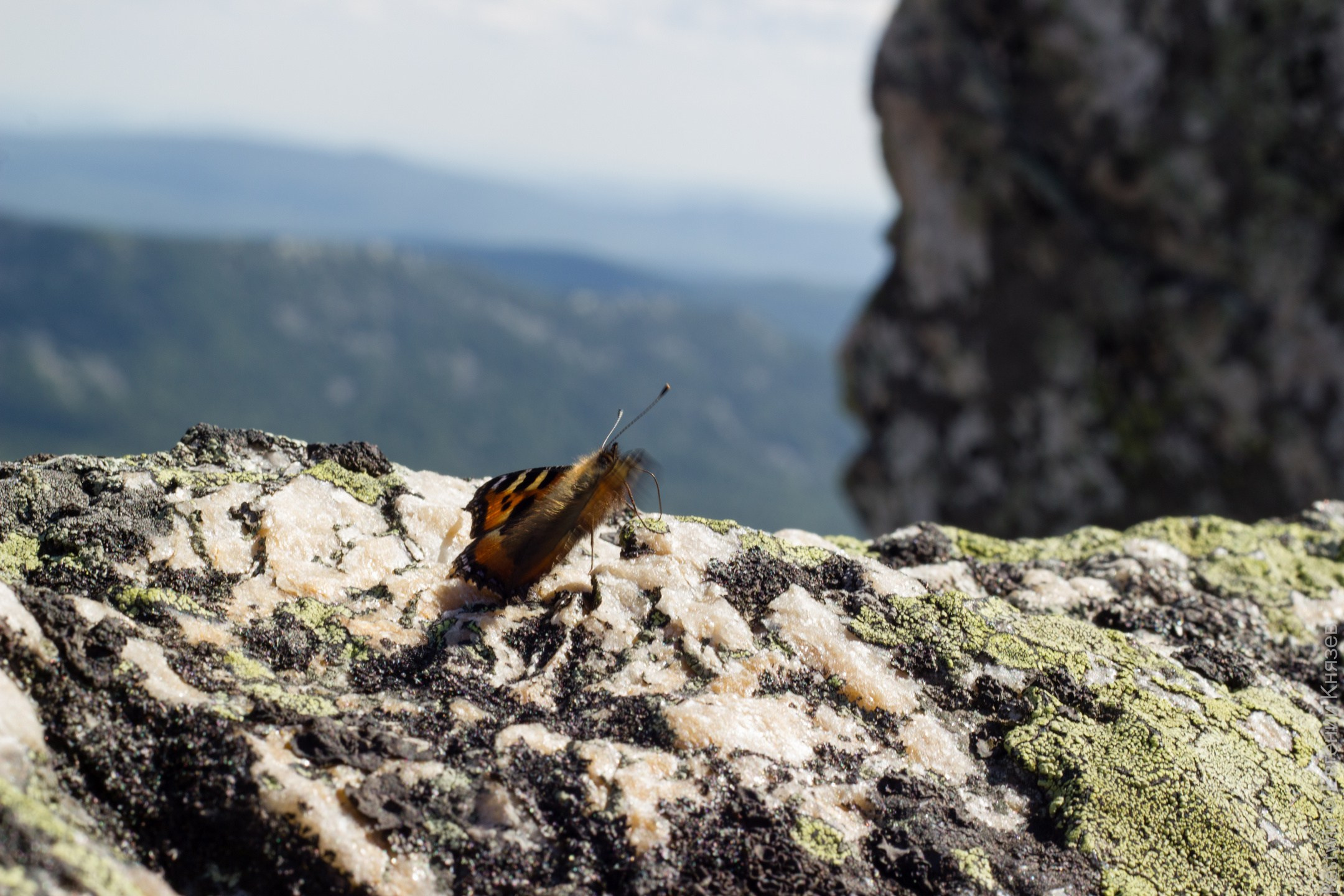 Пейзажные фотографии. Евгений Restwin — Пейзажный и репортажный фотограф