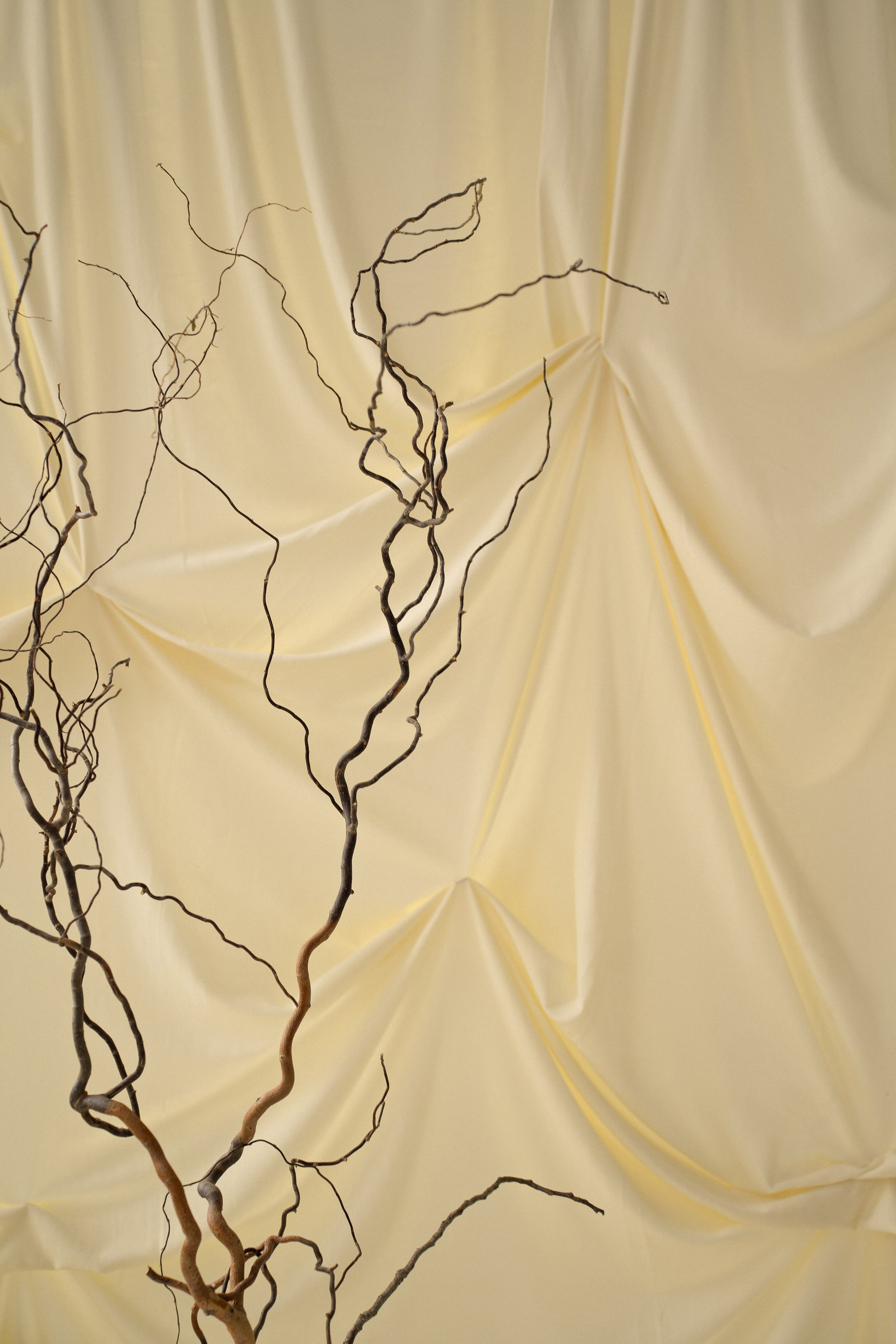 Артём и Алина. Семейный и портретный фотограф в г. Орск Алишер Азимов