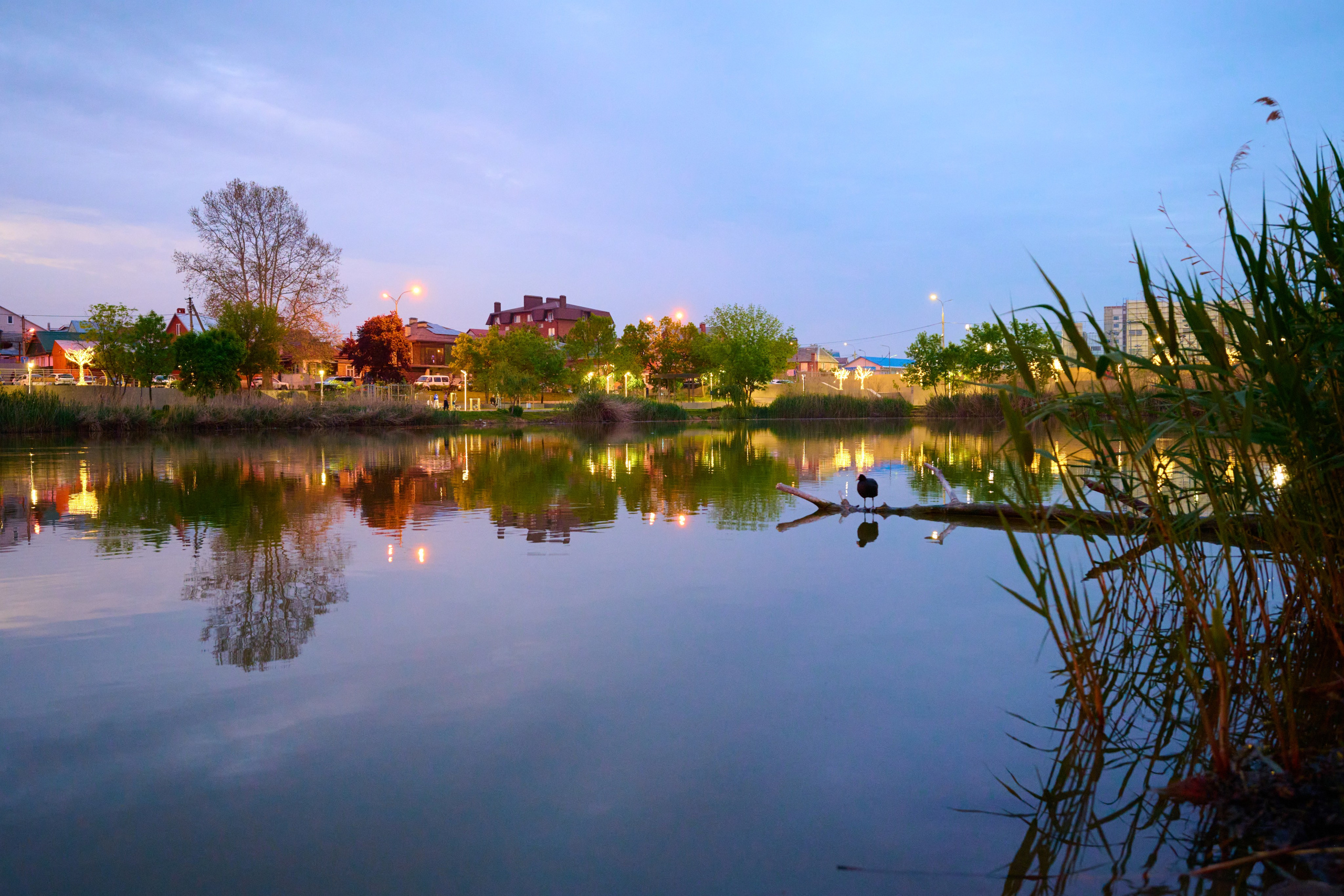 Краснодарский стрит