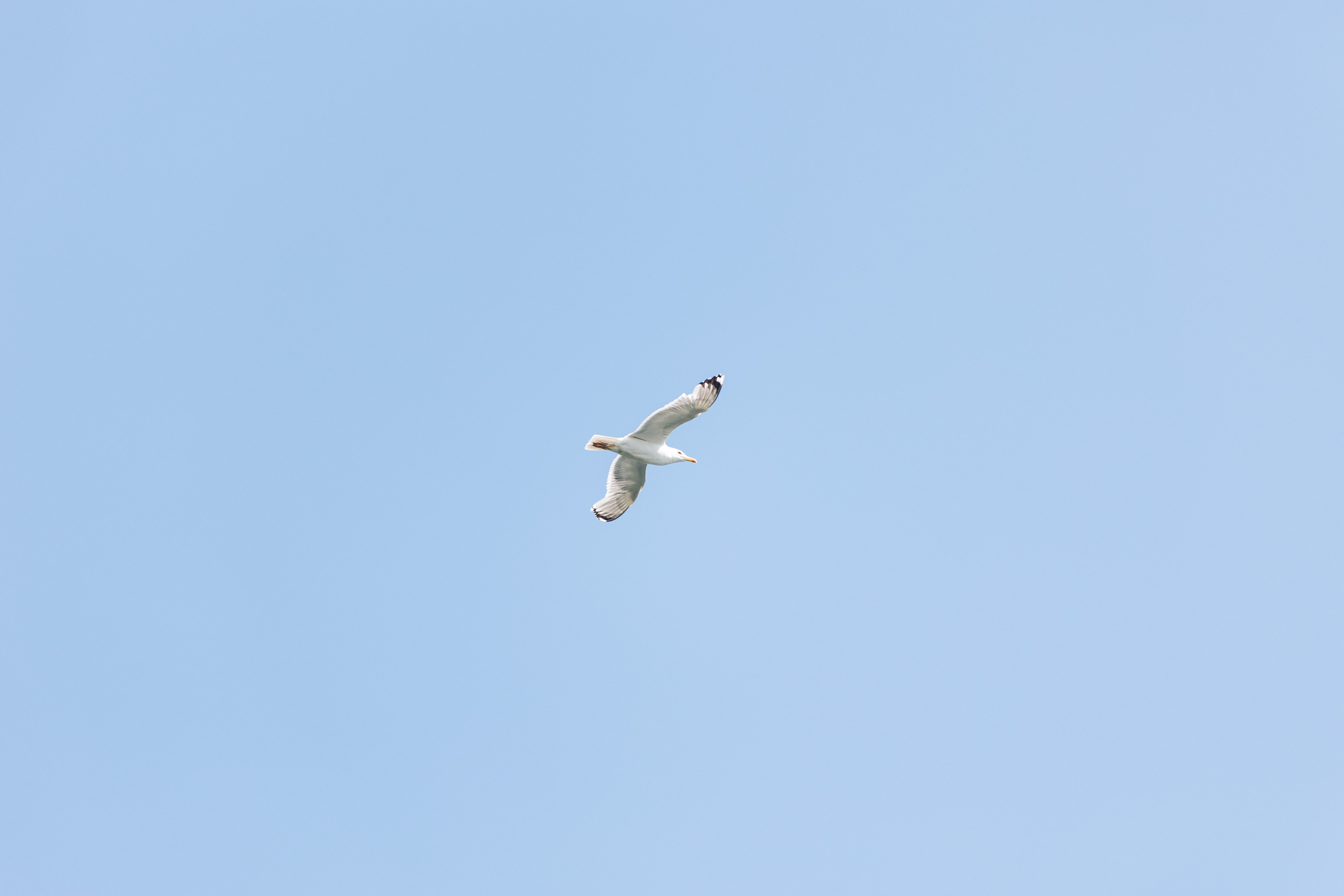 Казанский Supboard фестифаль. Портретный фотограф в Казани Радомир Заздравных