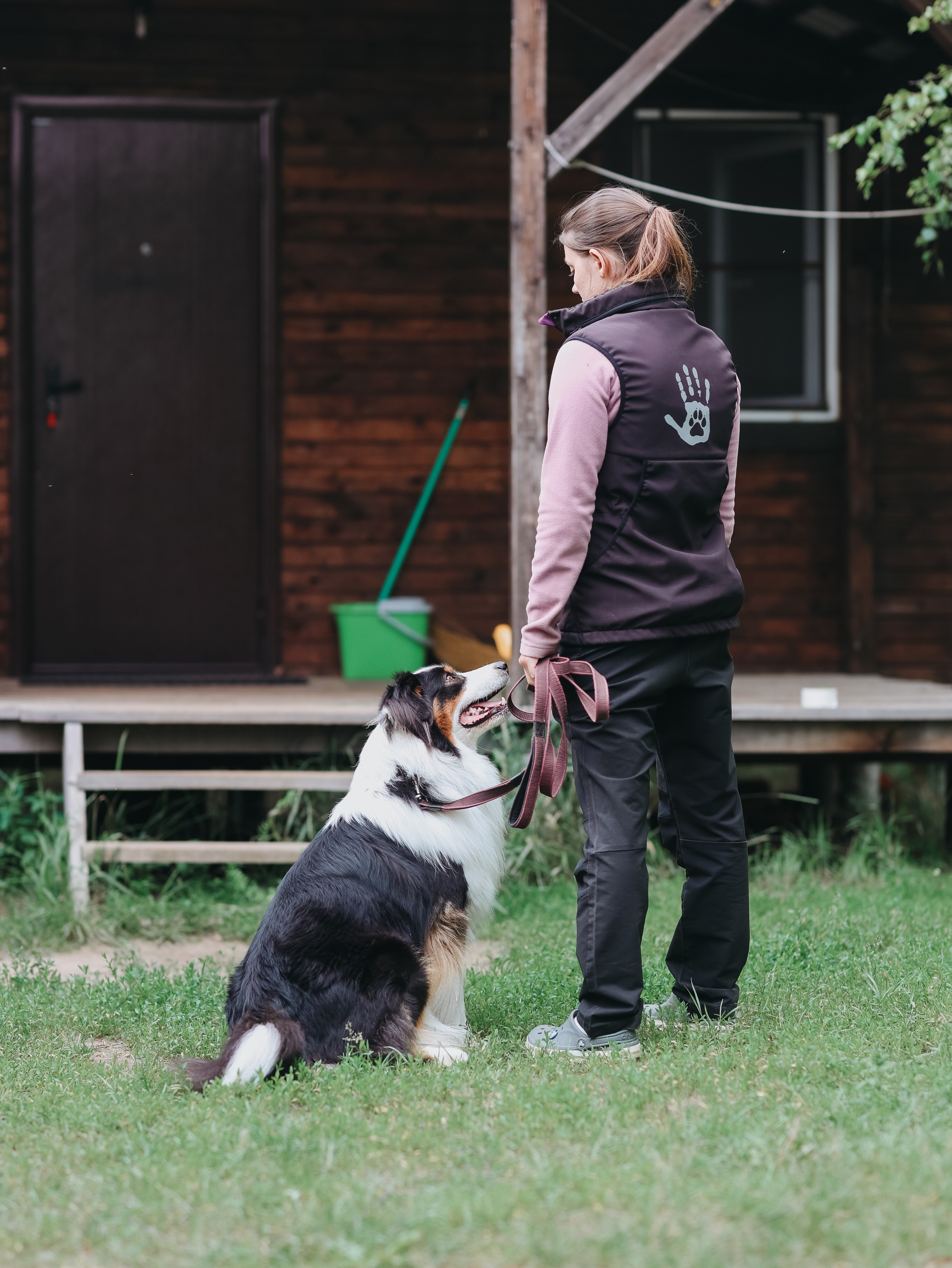 Лагерь ноузворк. Фотограф-анималист в Москве Кириллова Татьяна
