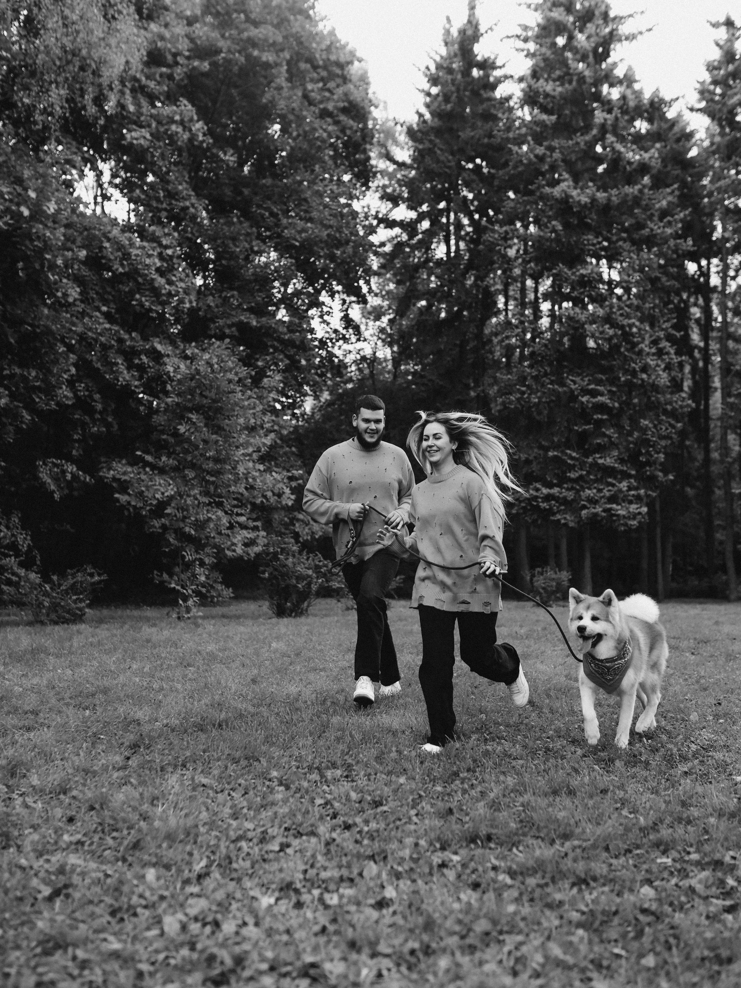 Гранд, Вика и Степан. Фотограф-анималист в Москве Кириллова Татьяна