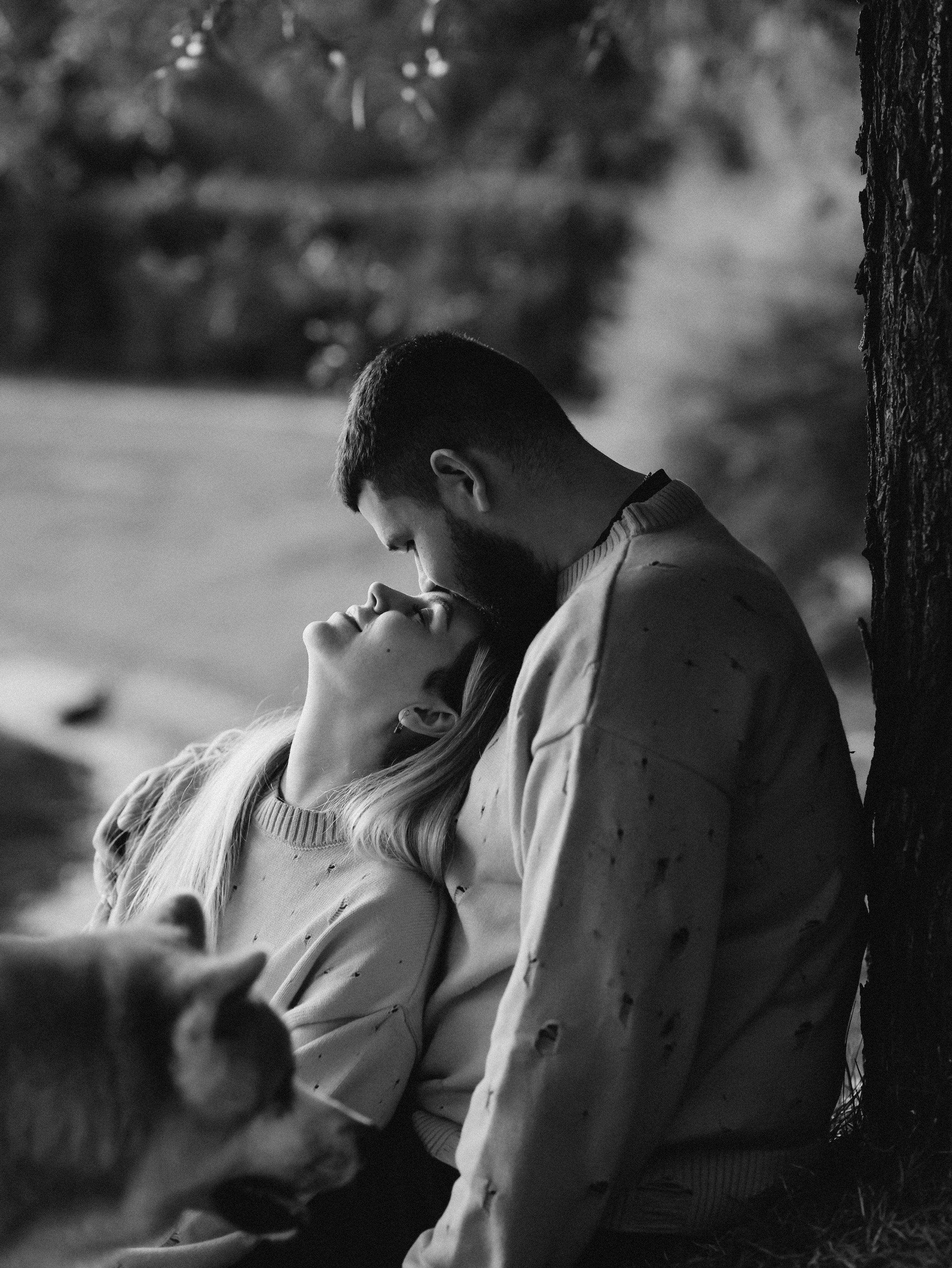 Гранд, Вика и Степан. Фотограф-анималист в Москве Кириллова Татьяна