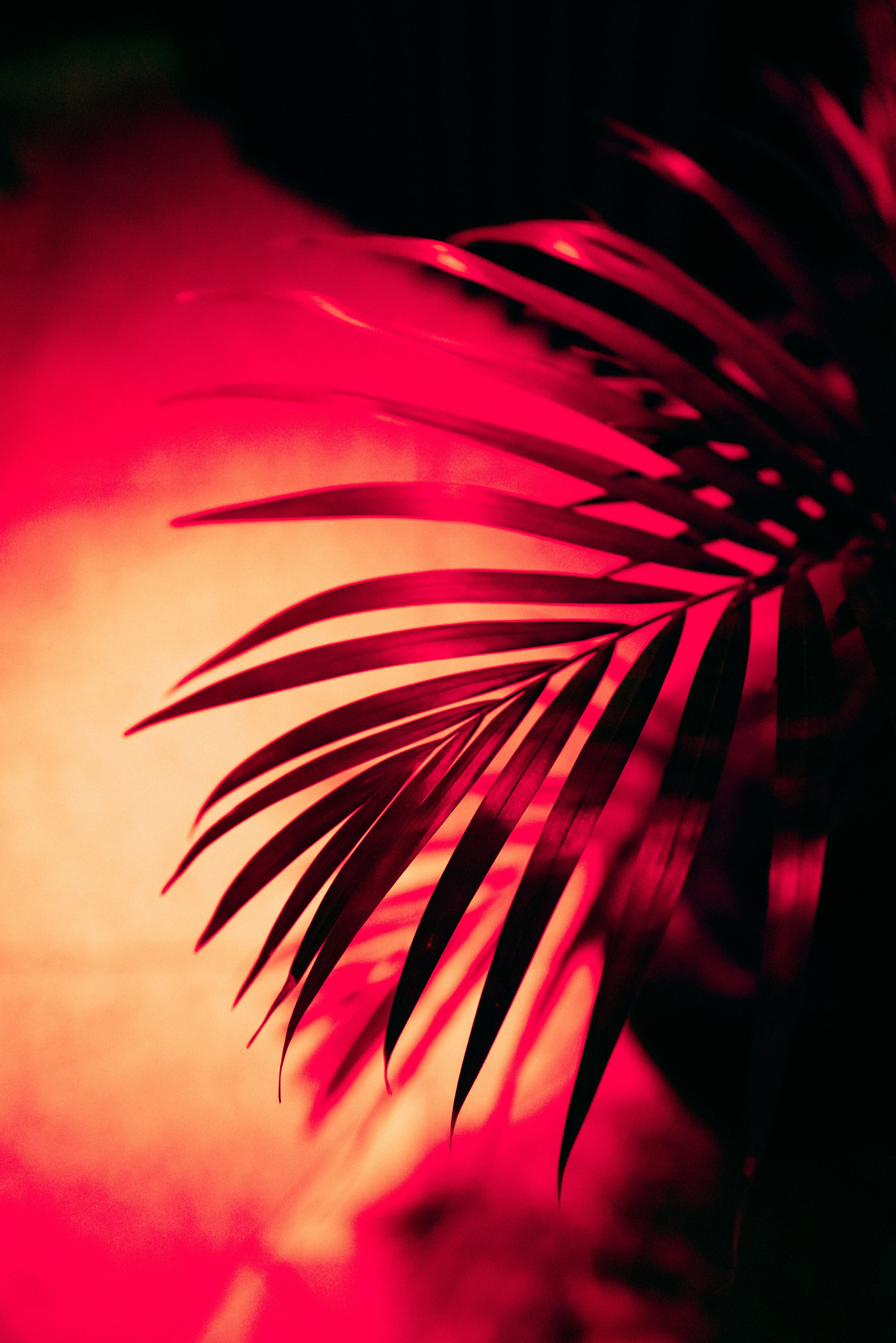 SOMEWHERE. Репортажный и клубный фотограф Москва