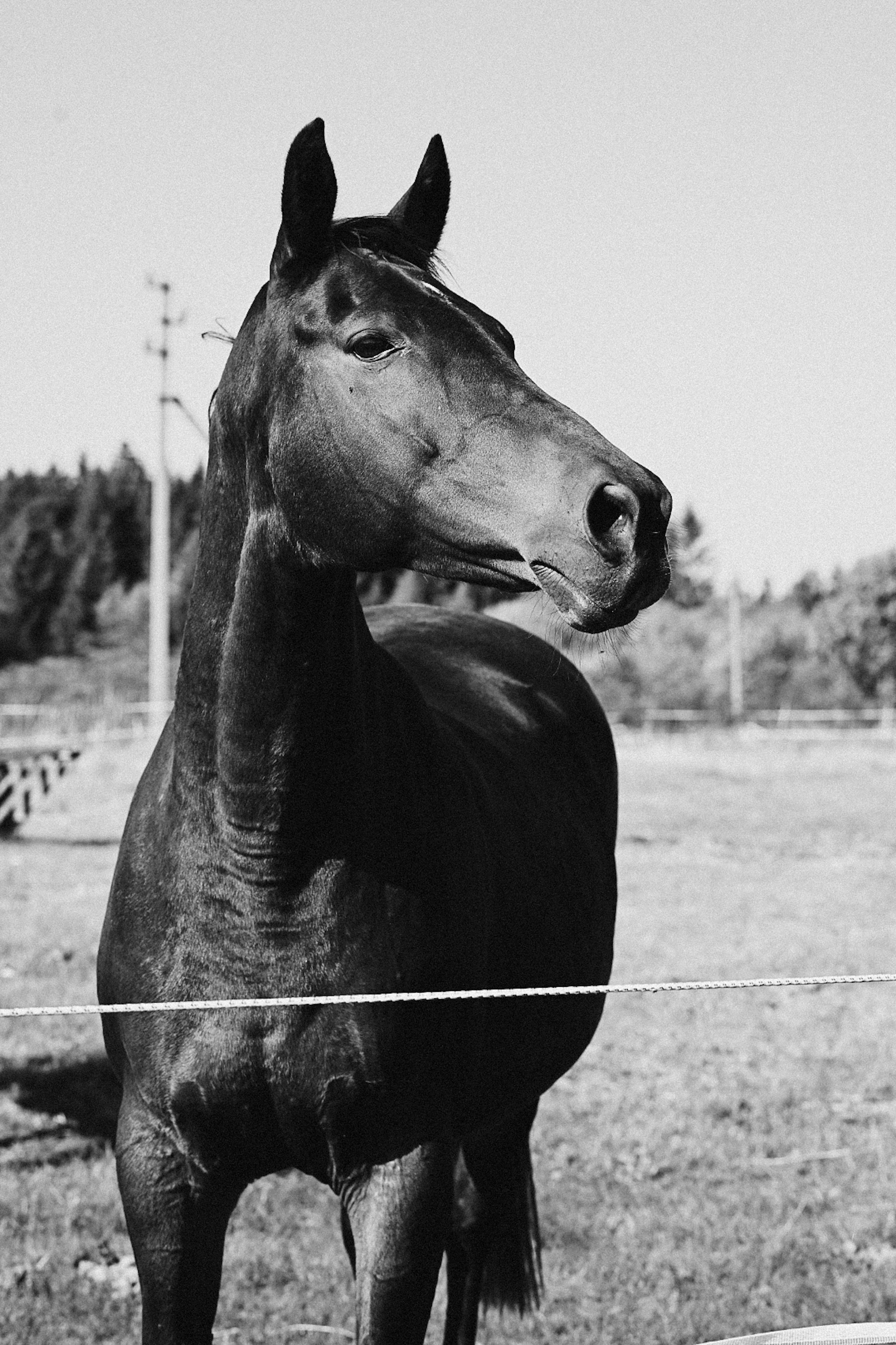 LifeStyle фотограф Анна Воробьёва Санкт-Петербург
