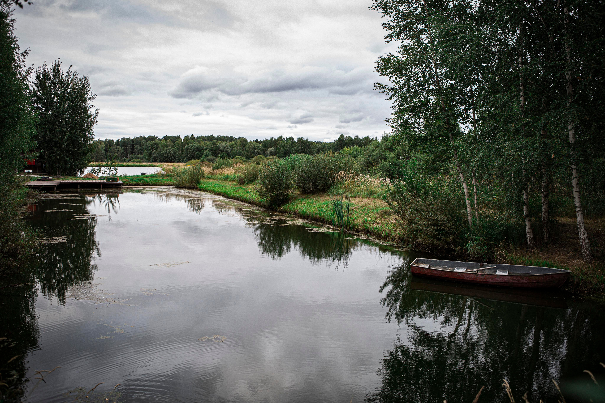 Москои — декоративные рыбы карпы кои на продажу Москва, Дмитров, Курск