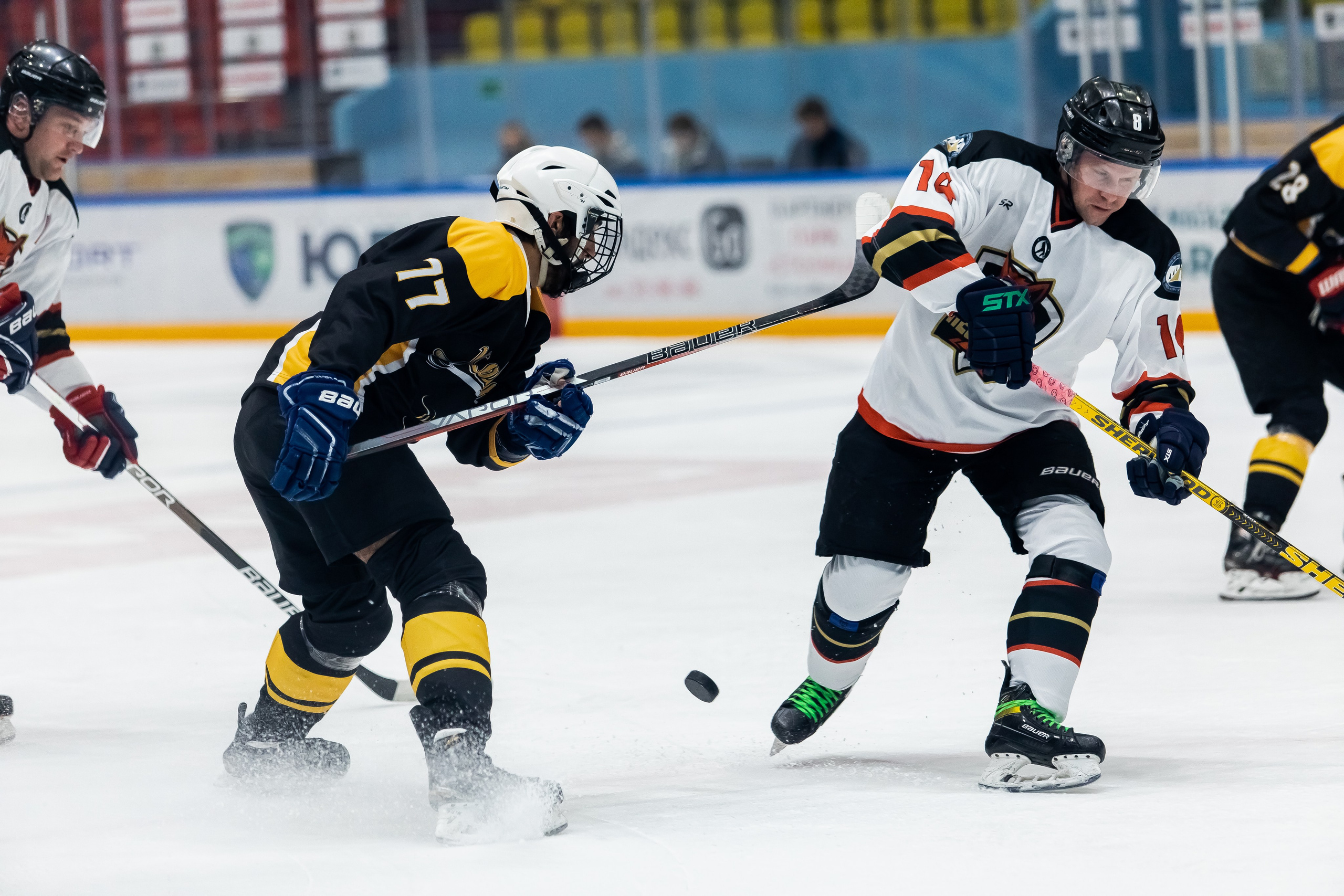 Хоккей. Фотограф Тимербаева Алина г. Сургут