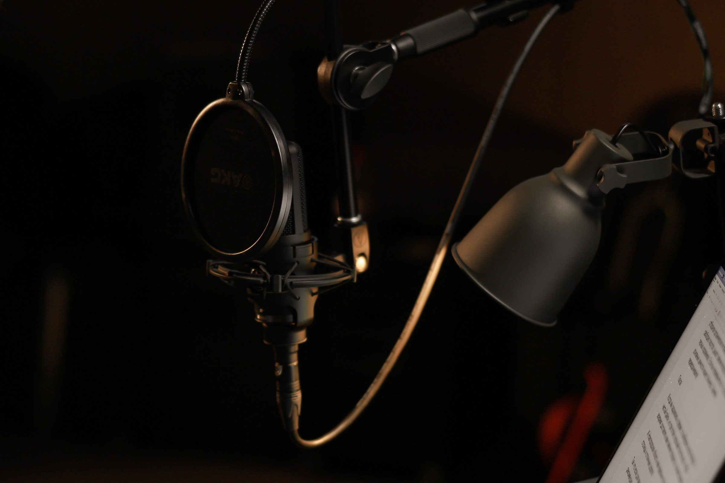 Запись гостей для аудиогида. 2023. Свадебный фотограф Великий Новгород Станислав Кособудский