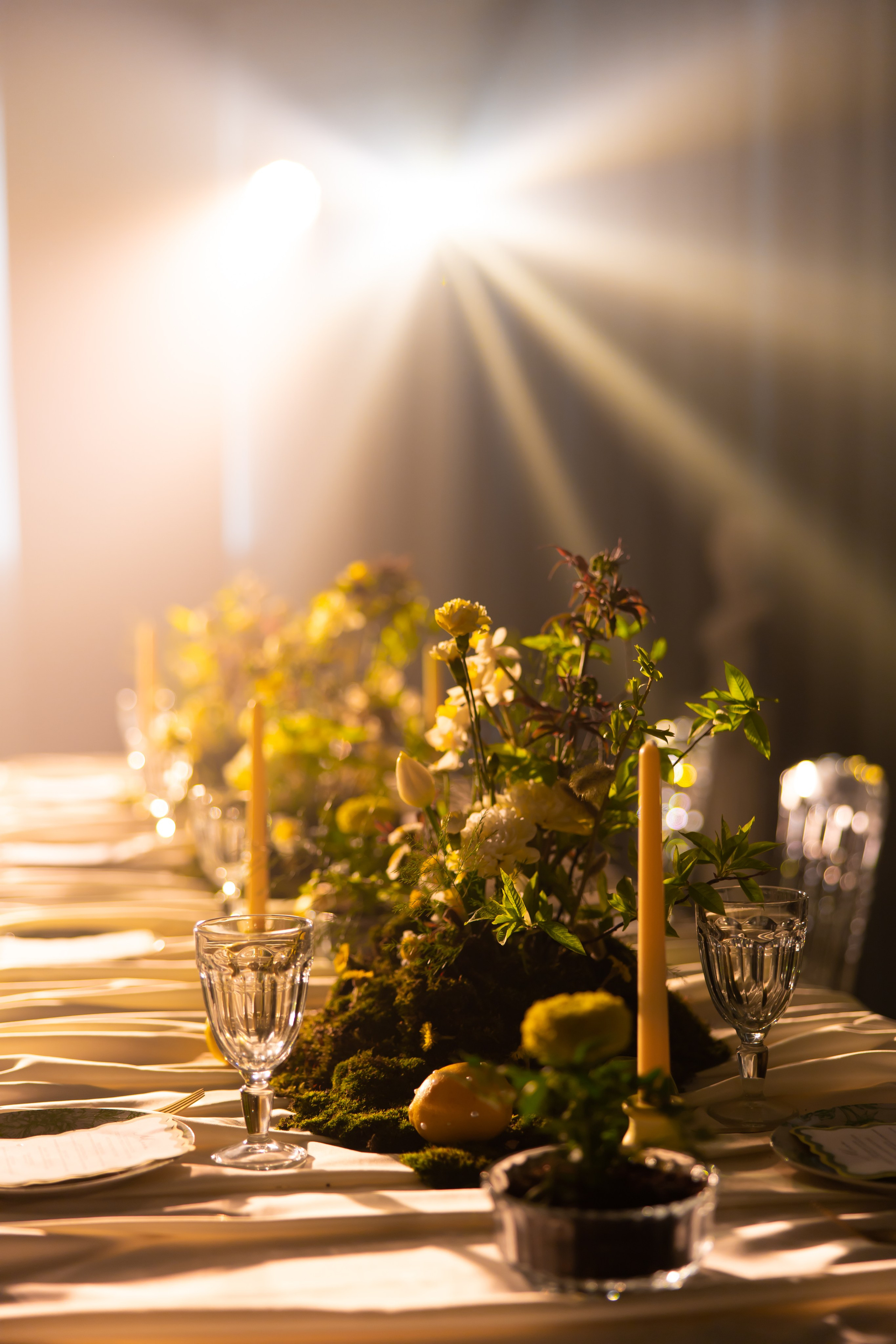 КОНСТАНТИН+ВИКТОРИЯ. Фотограф Элла Ефимова