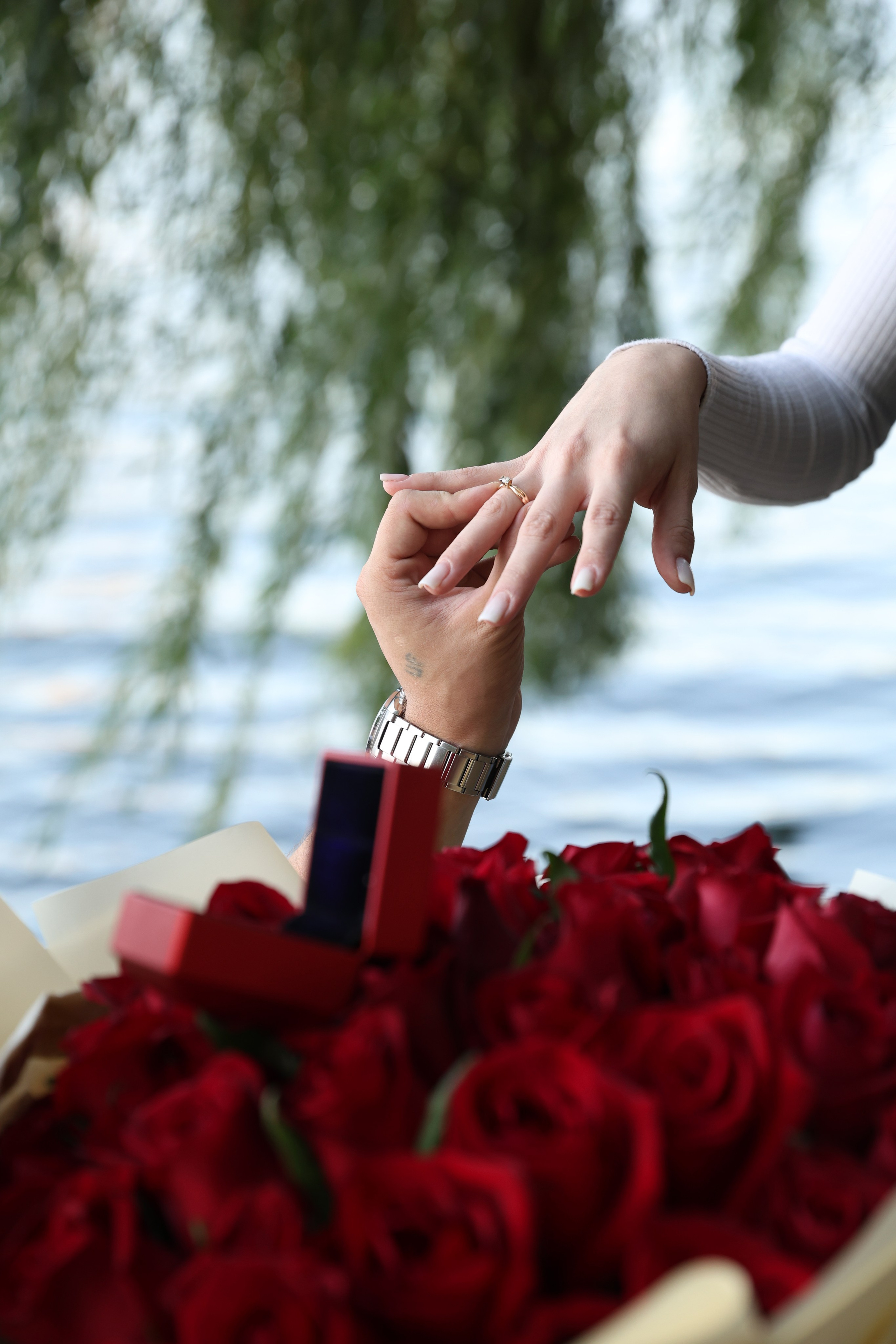 Предложение. Парк Щербакова. Яна Чхан — Фотограф в Донецке и не только