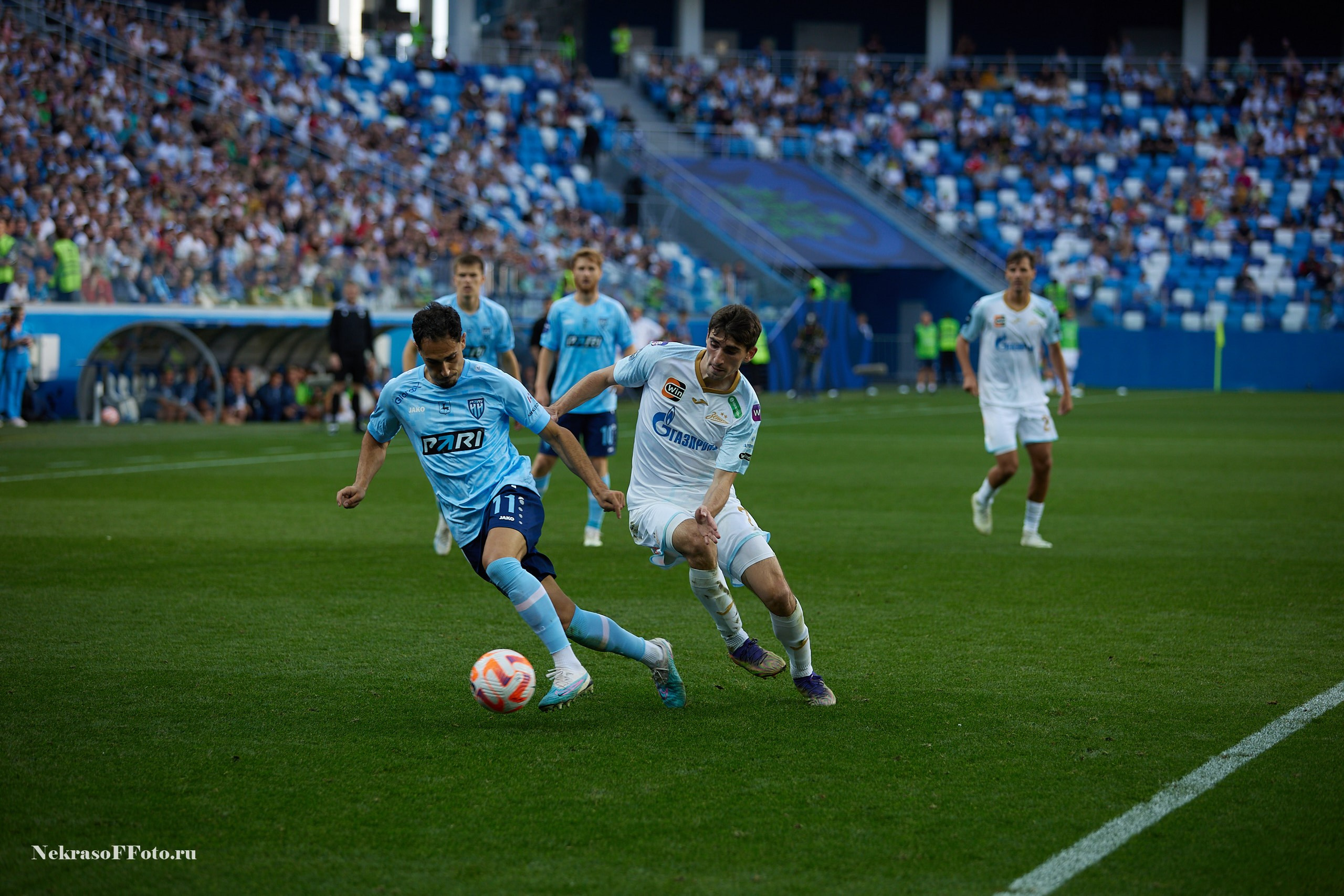 РПЛ ФК Зенит — ФК Пари НН. Спортивный фотограф Некрасов Денис
