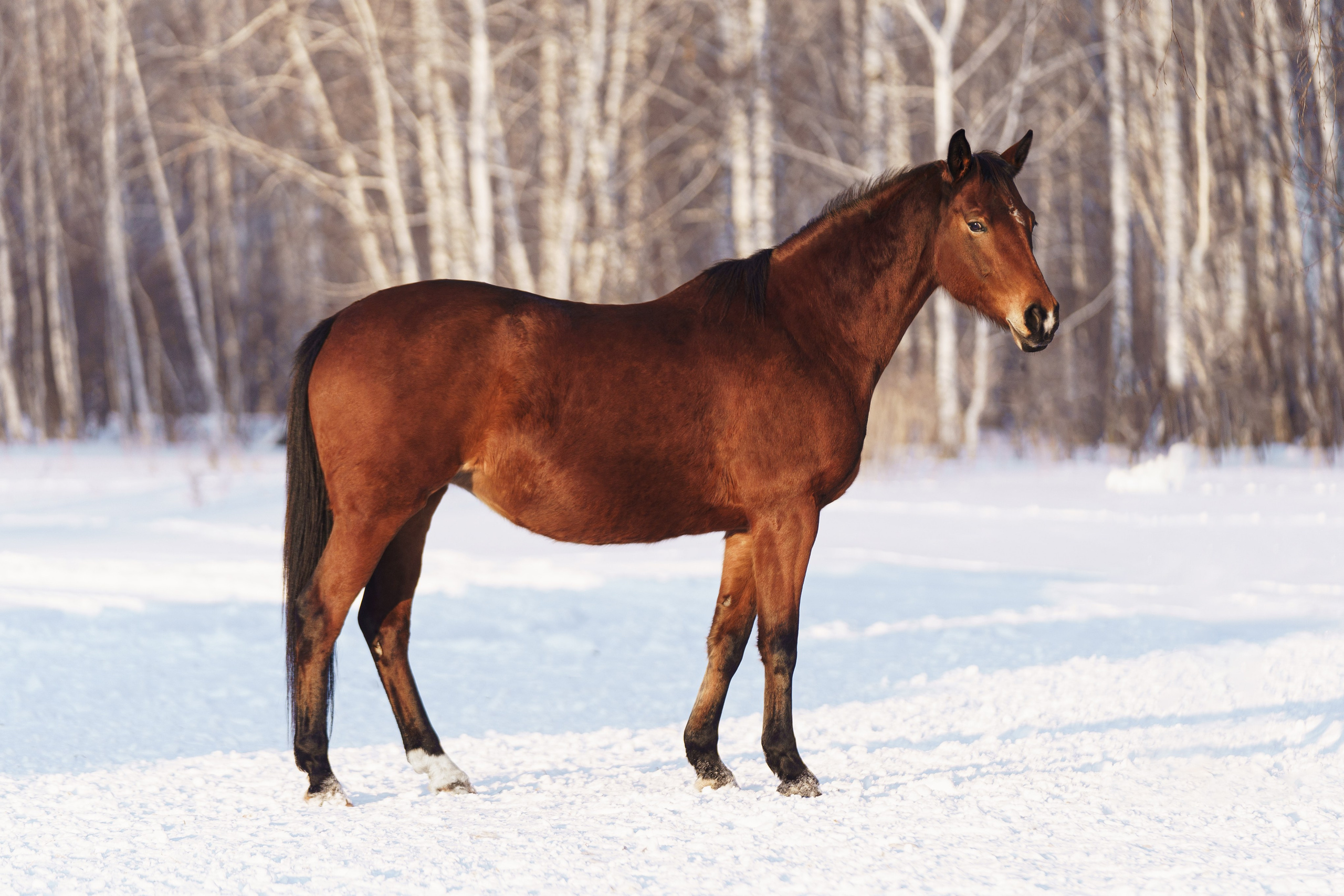 Онега. Главная