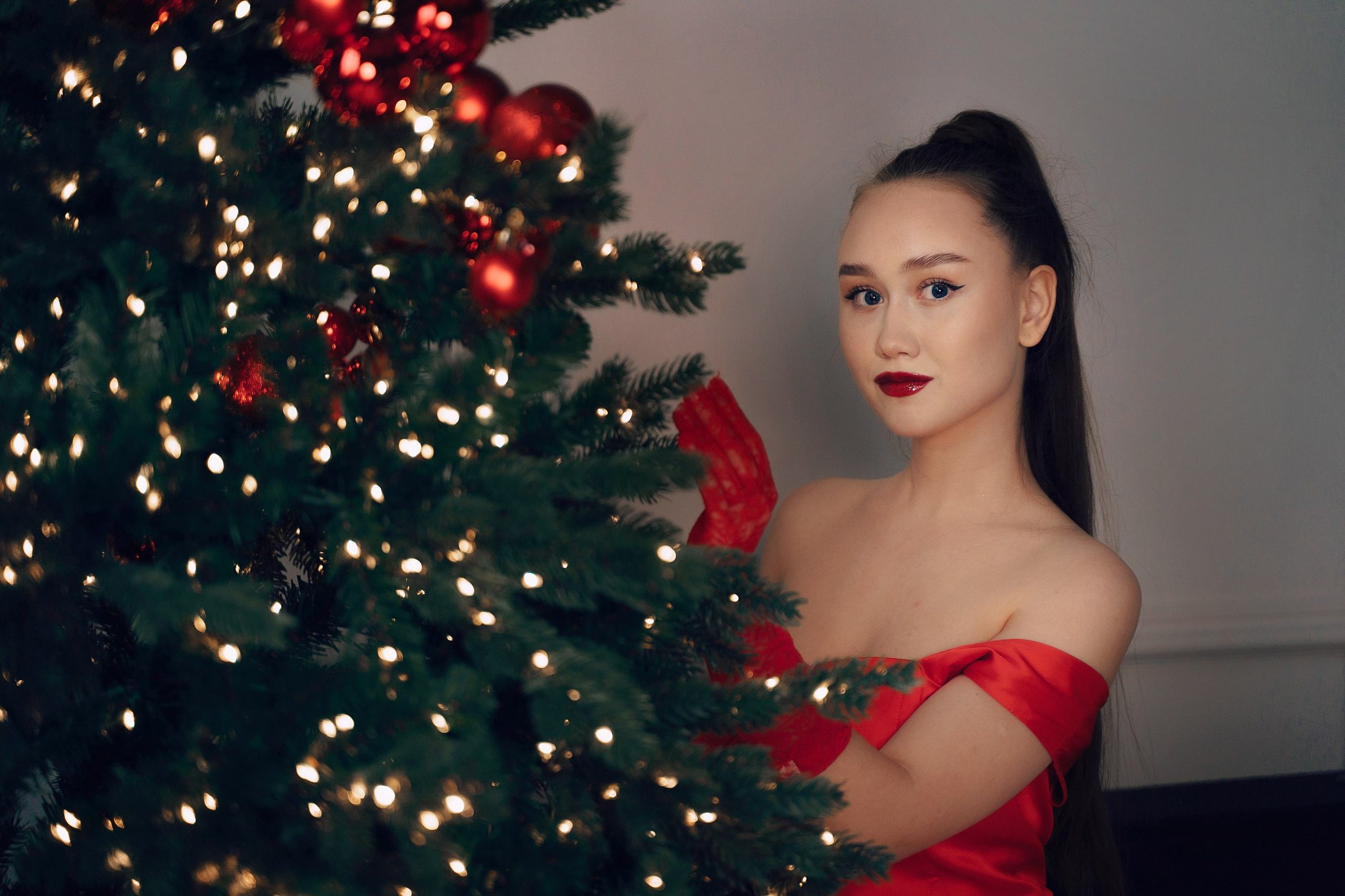 Red Christmas. Фотограф-анималист, портретный фотограф в Чебоксарах Мария Садыкова