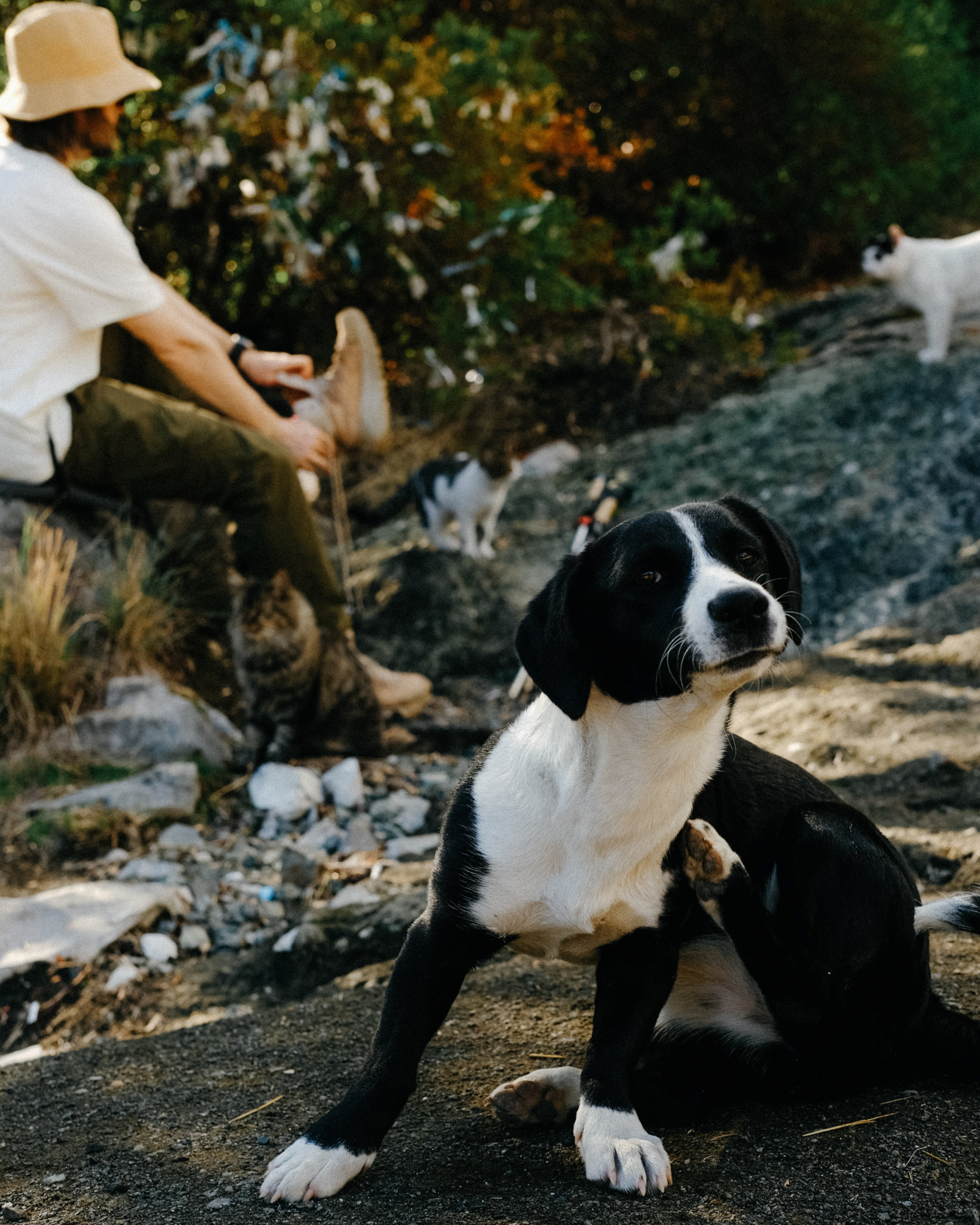 Lycian Way: Turkey. Обо мне
