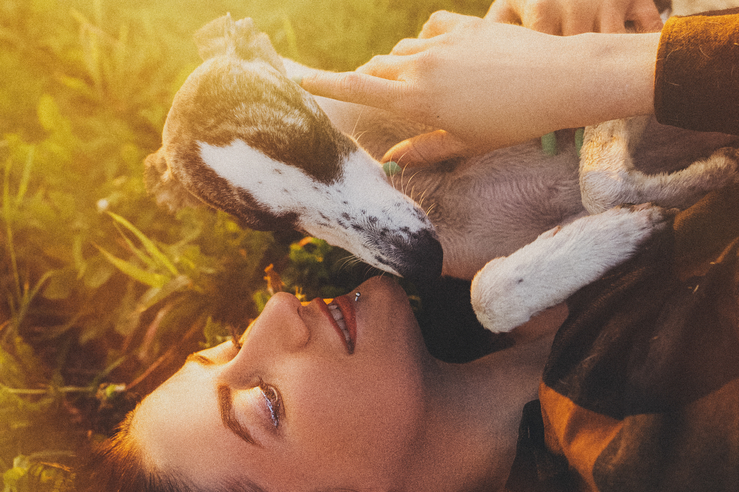 Софа, Уна и Лють. Фотограф анималист в Москве и Санкт-Петербурге Свиридова Анна