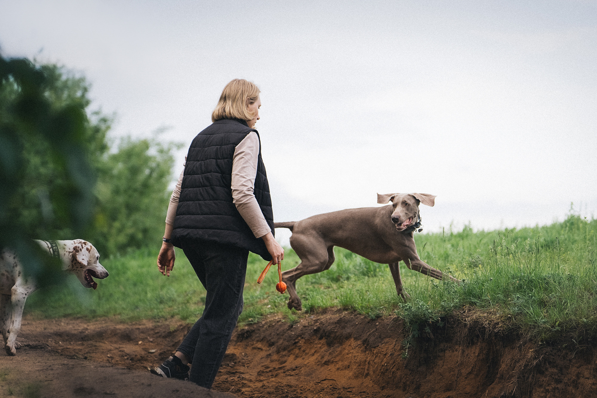 Полина, Борис, Луна и Эль. Фотограф анималист в Москве и Санкт-Петербурге Свиридова Анна