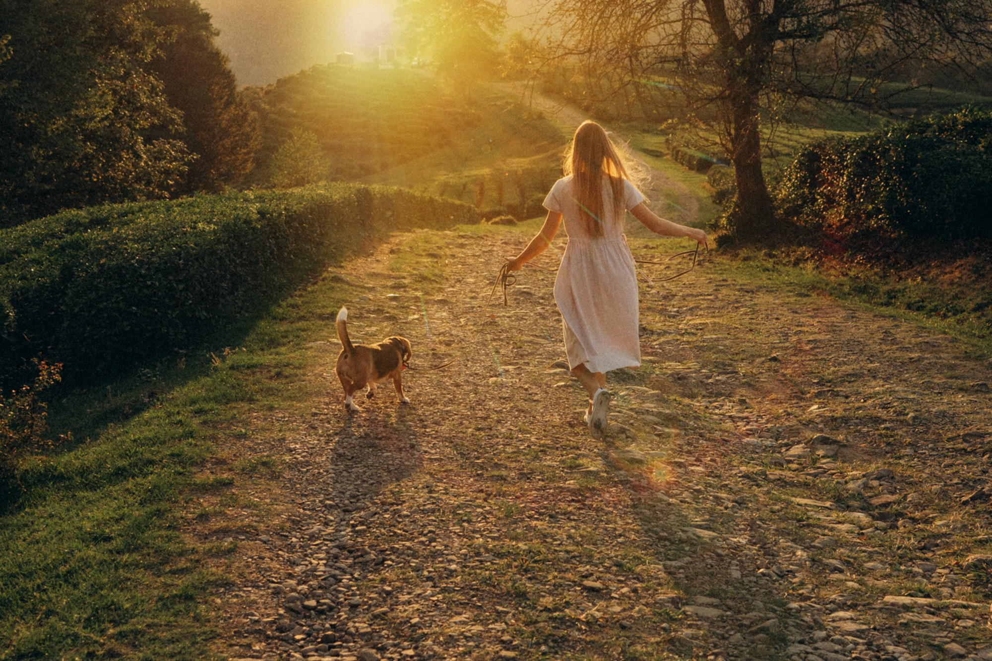Женя и Мира. Фотограф анималист в Москве и Санкт-Петербурге Свиридова Анна
