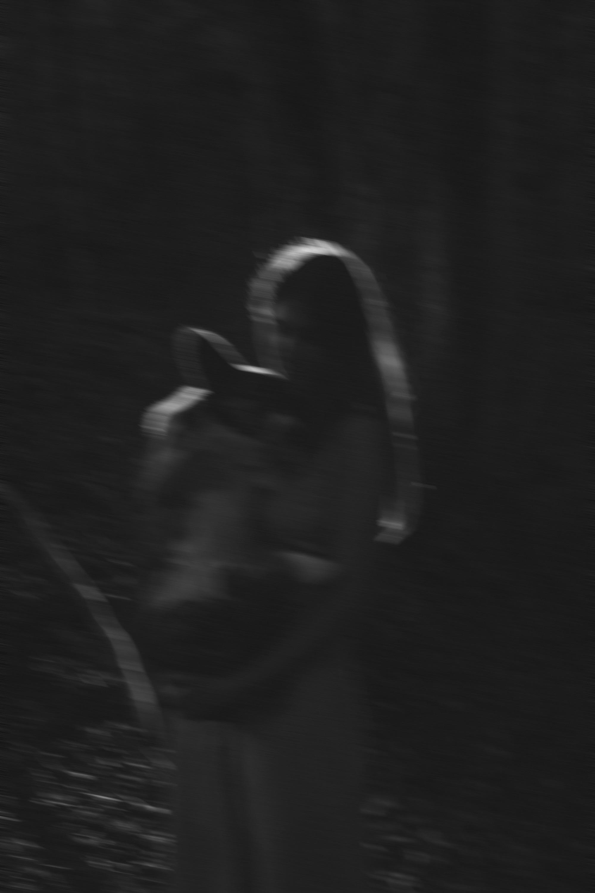 Влада и Коржики. Фотограф анималист в Москве и Санкт-Петербурге Свиридова Анна