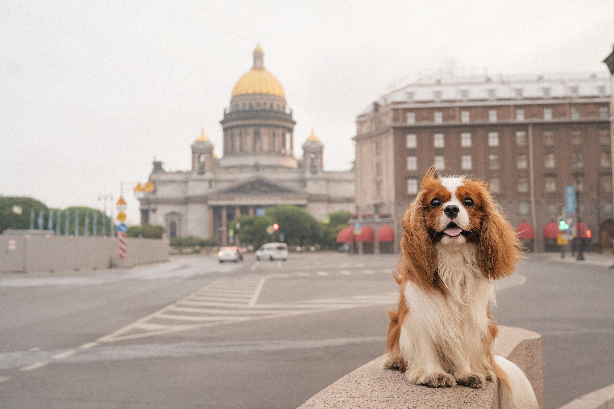 Таня и Лео. Фотограф анималист в Москве и Санкт-Петербурге Свиридова Анна