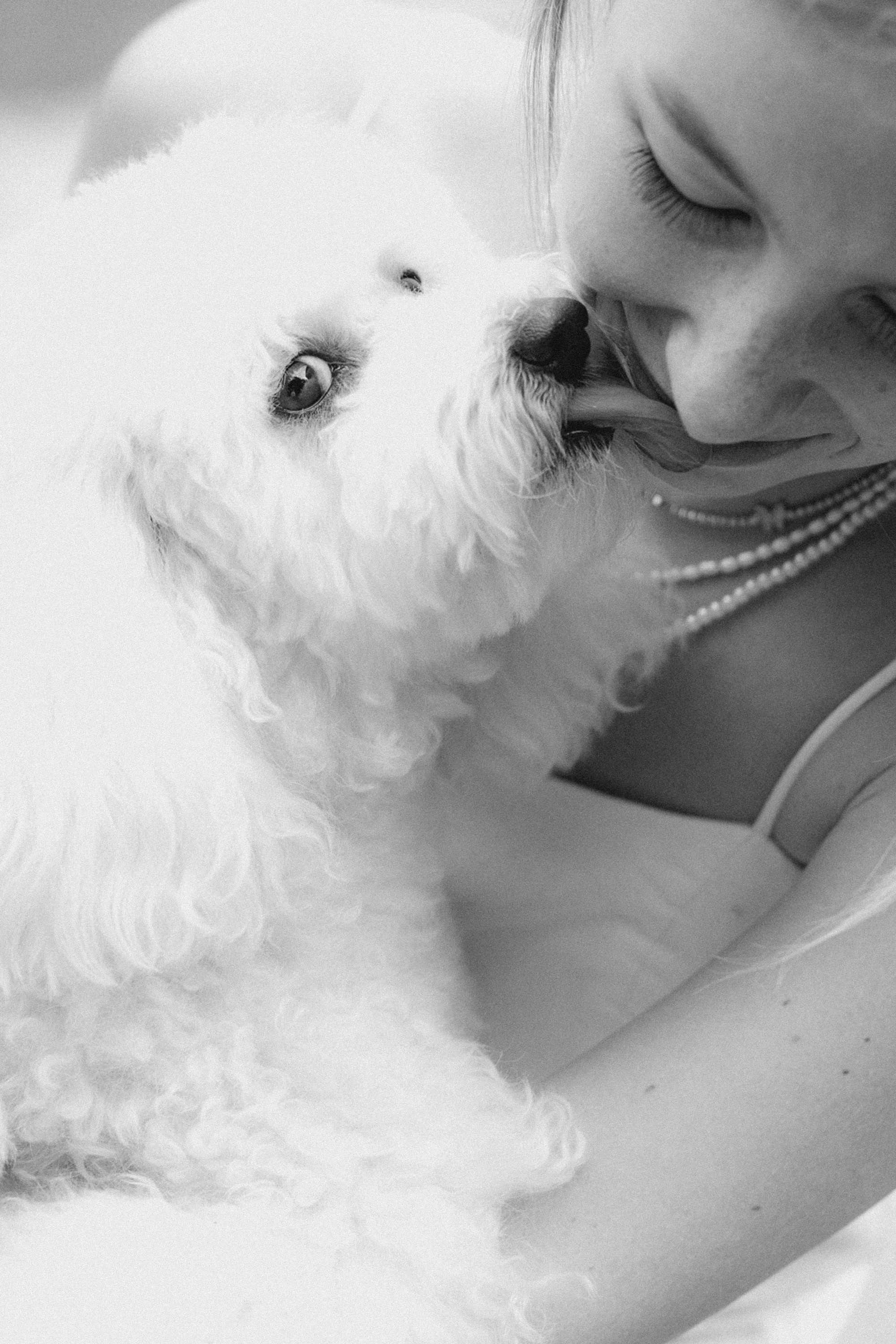 Ангелина и Варежка. Фотограф анималист в Москве и Санкт-Петербурге Свиридова Анна