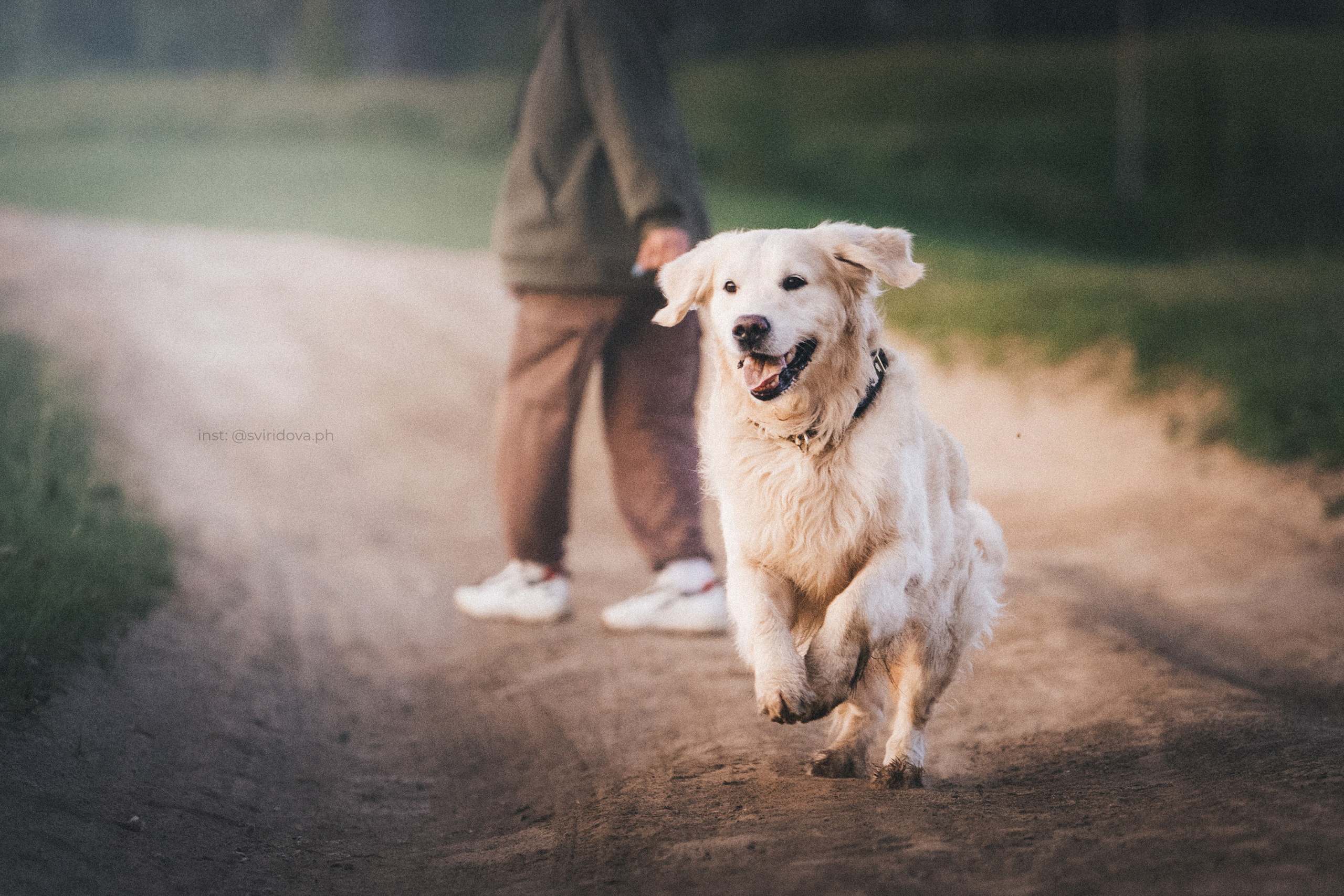 Настя и Арчи. Фотограф анималист в Москве и Санкт-Петербурге Свиридова Анна