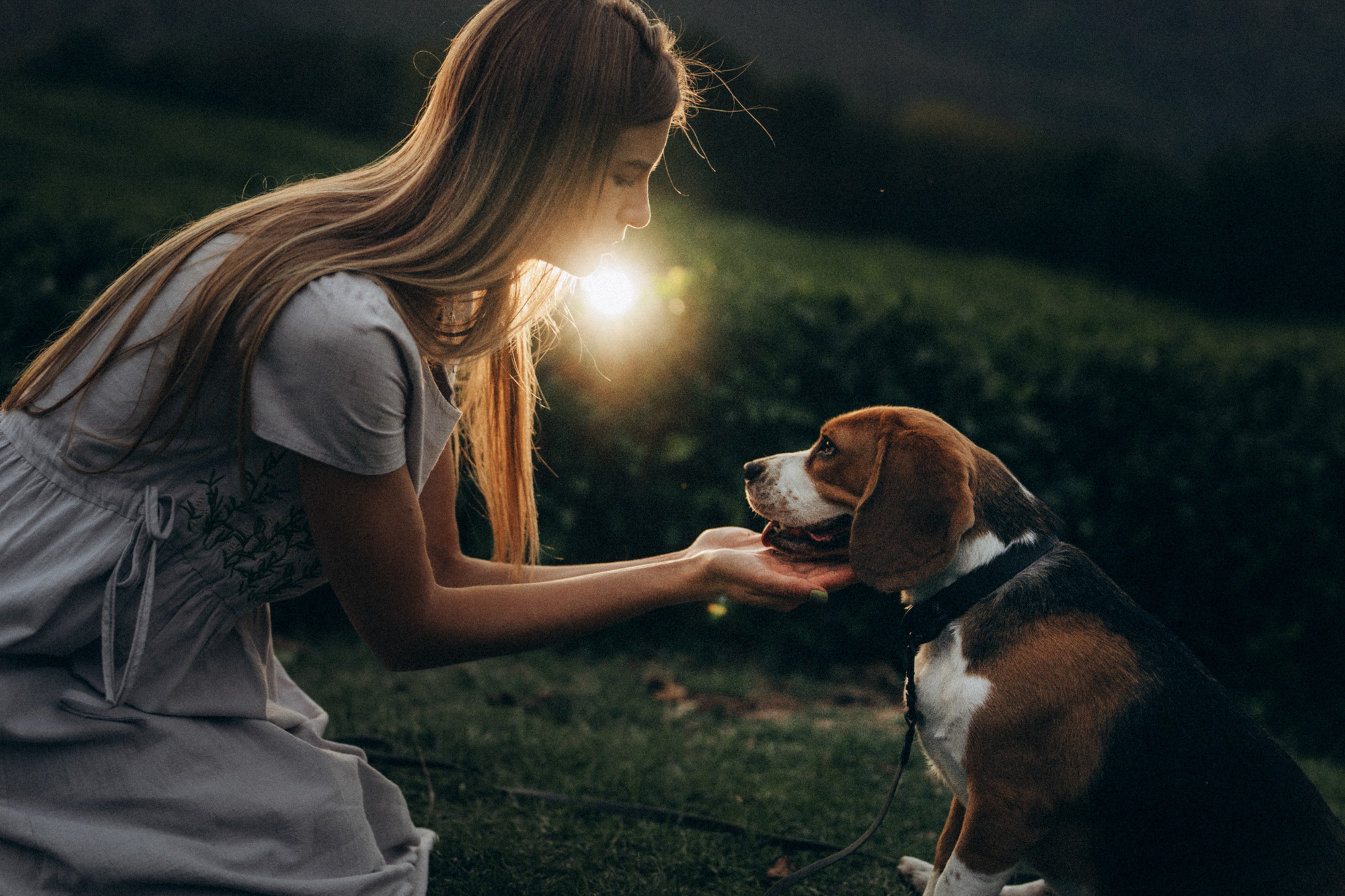 Женя и Мира. Фотограф анималист в Москве и Санкт-Петербурге Свиридова Анна
