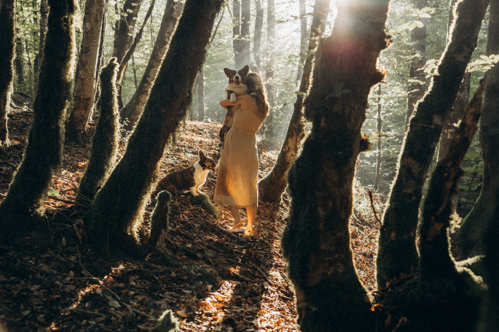 Влада и Коржики. Фотограф анималист в Москве и Санкт-Петербурге Свиридова Анна