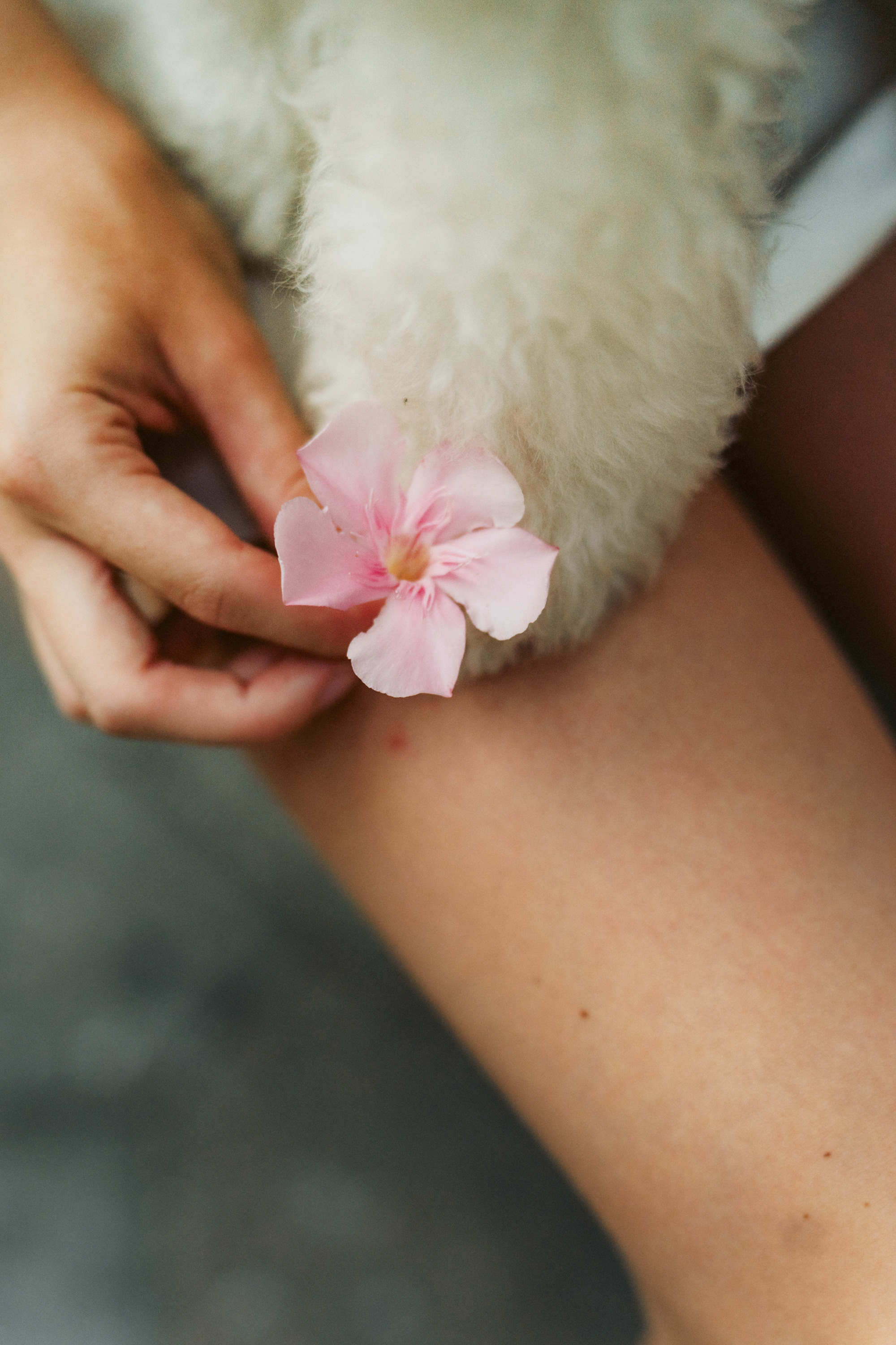 Ангелина и Варежка. Фотограф анималист в Москве и Санкт-Петербурге Свиридова Анна