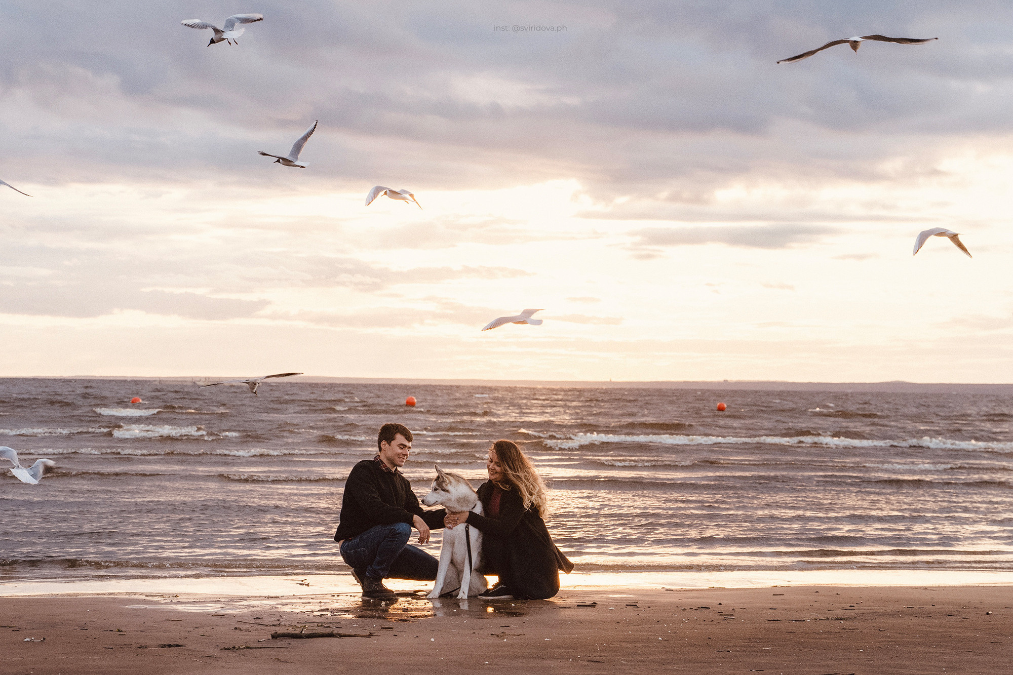 Катя, Илья, Лагерта. Фотограф анималист в Москве и Санкт-Петербурге Свиридова Анна
