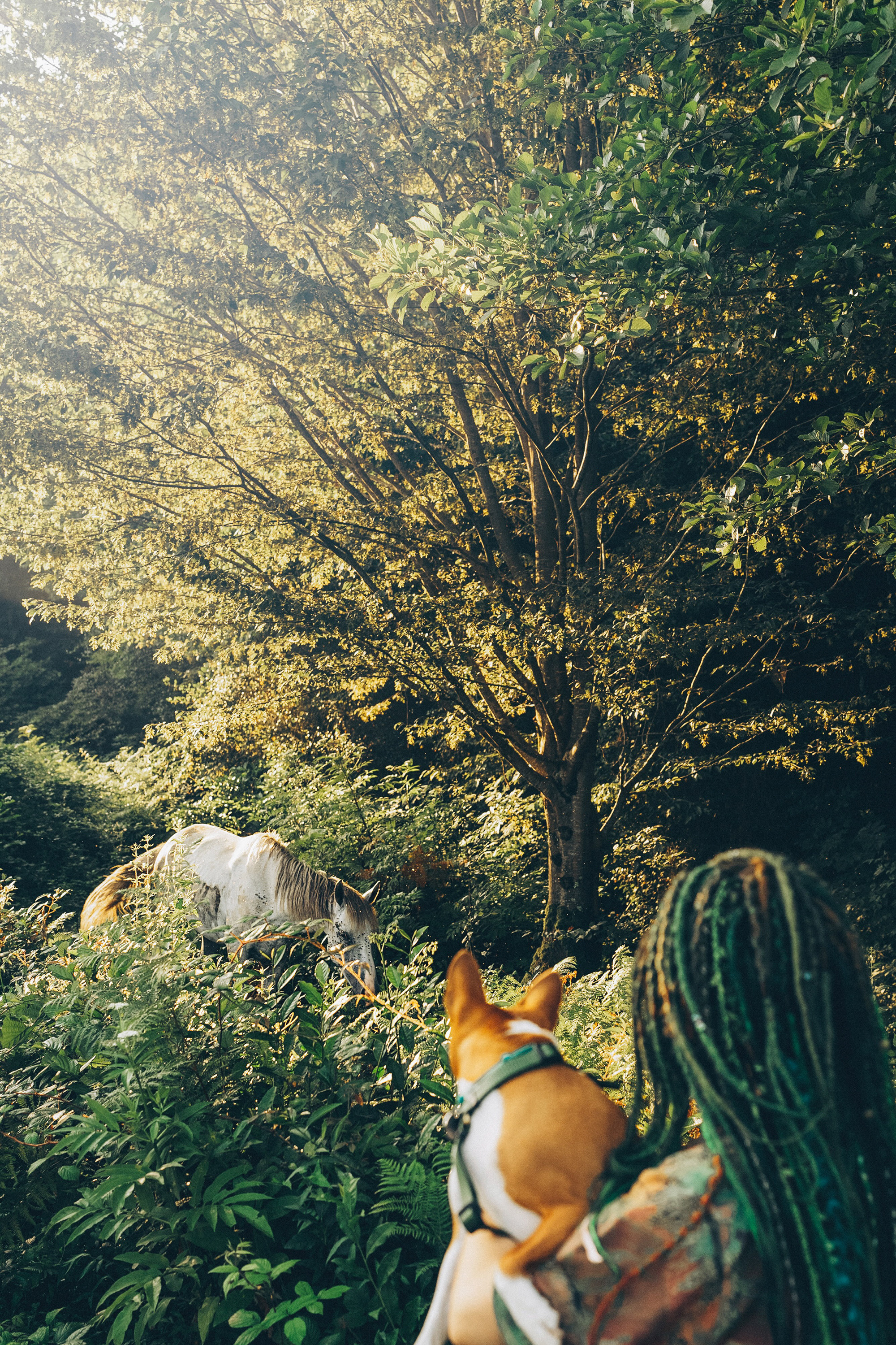 Арина и Рики. Фотограф анималист в Москве и Санкт-Петербурге Свиридова Анна