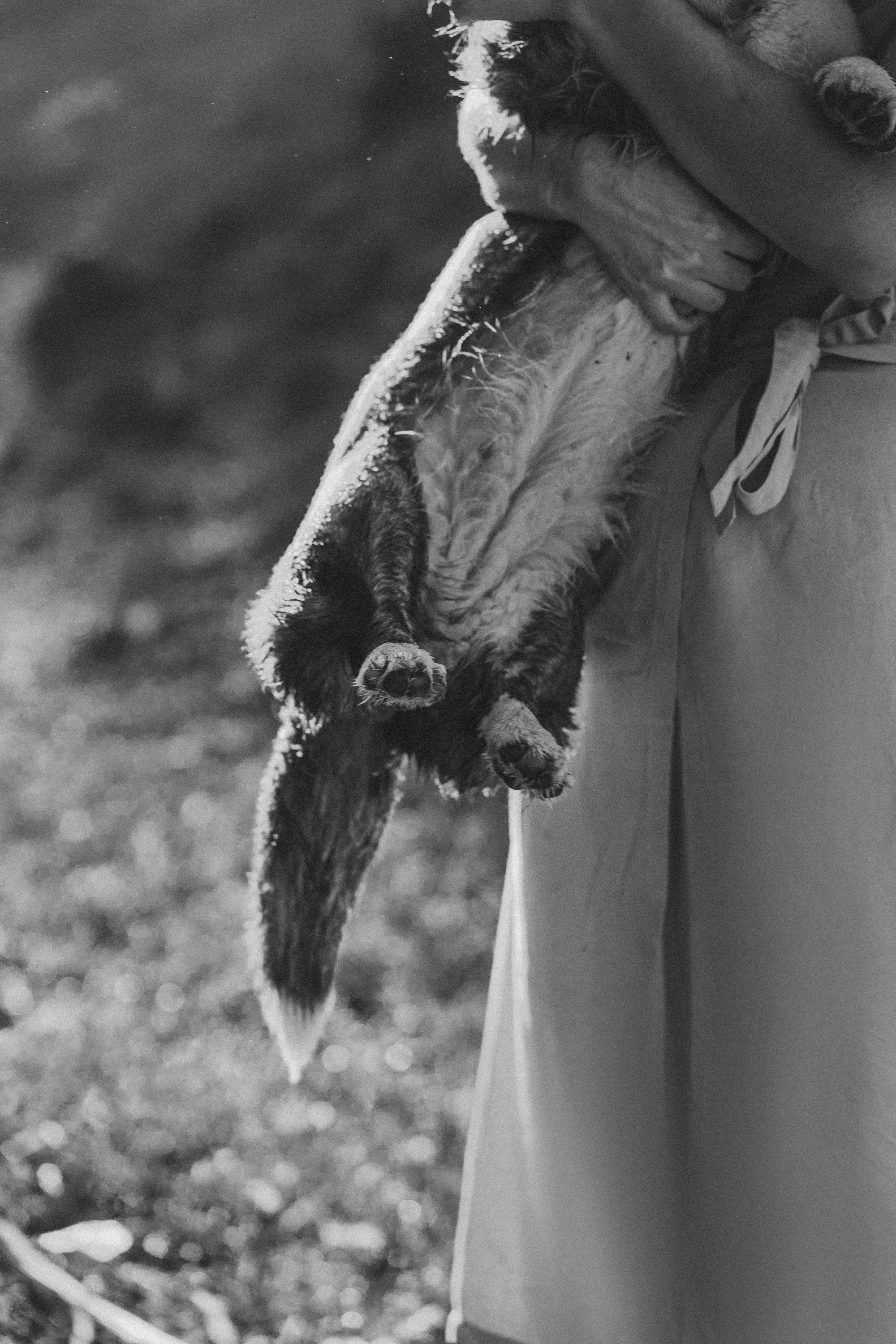 Влада и Коржики. Фотограф анималист в Москве и Санкт-Петербурге Свиридова Анна