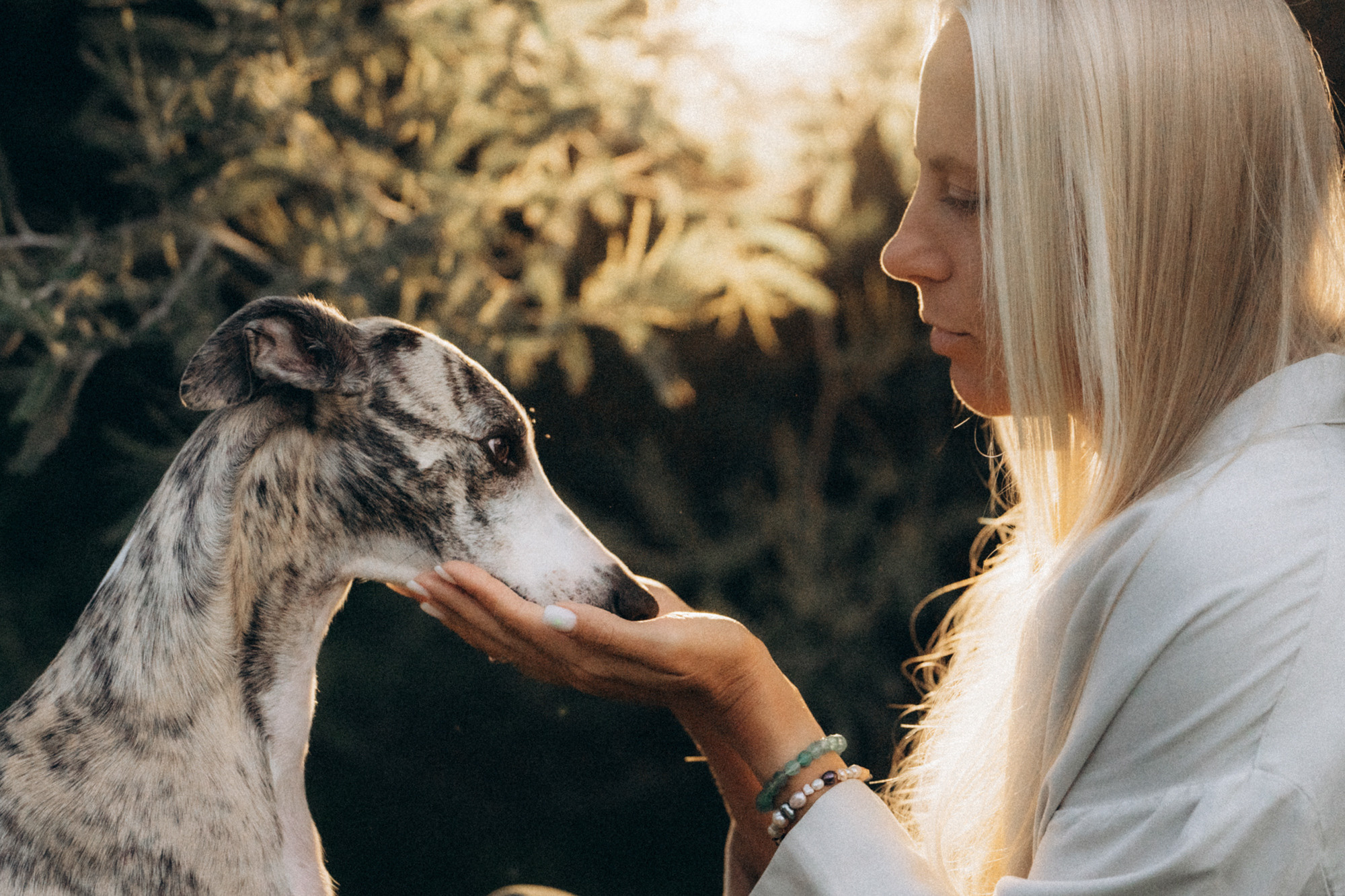 Аня и Джованни. Фотограф анималист в Москве и Санкт-Петербурге Свиридова Анна