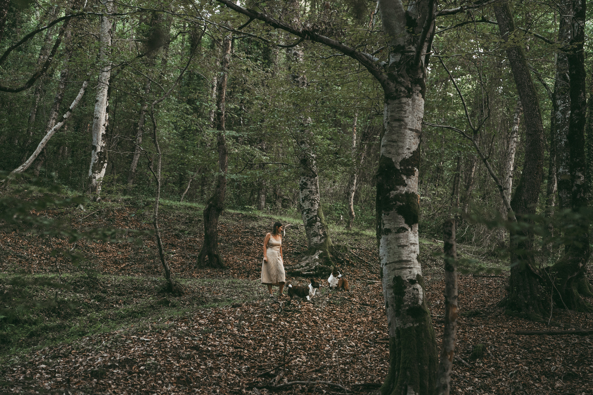 Влада и Коржики. Фотограф анималист в Москве и Санкт-Петербурге Свиридова Анна