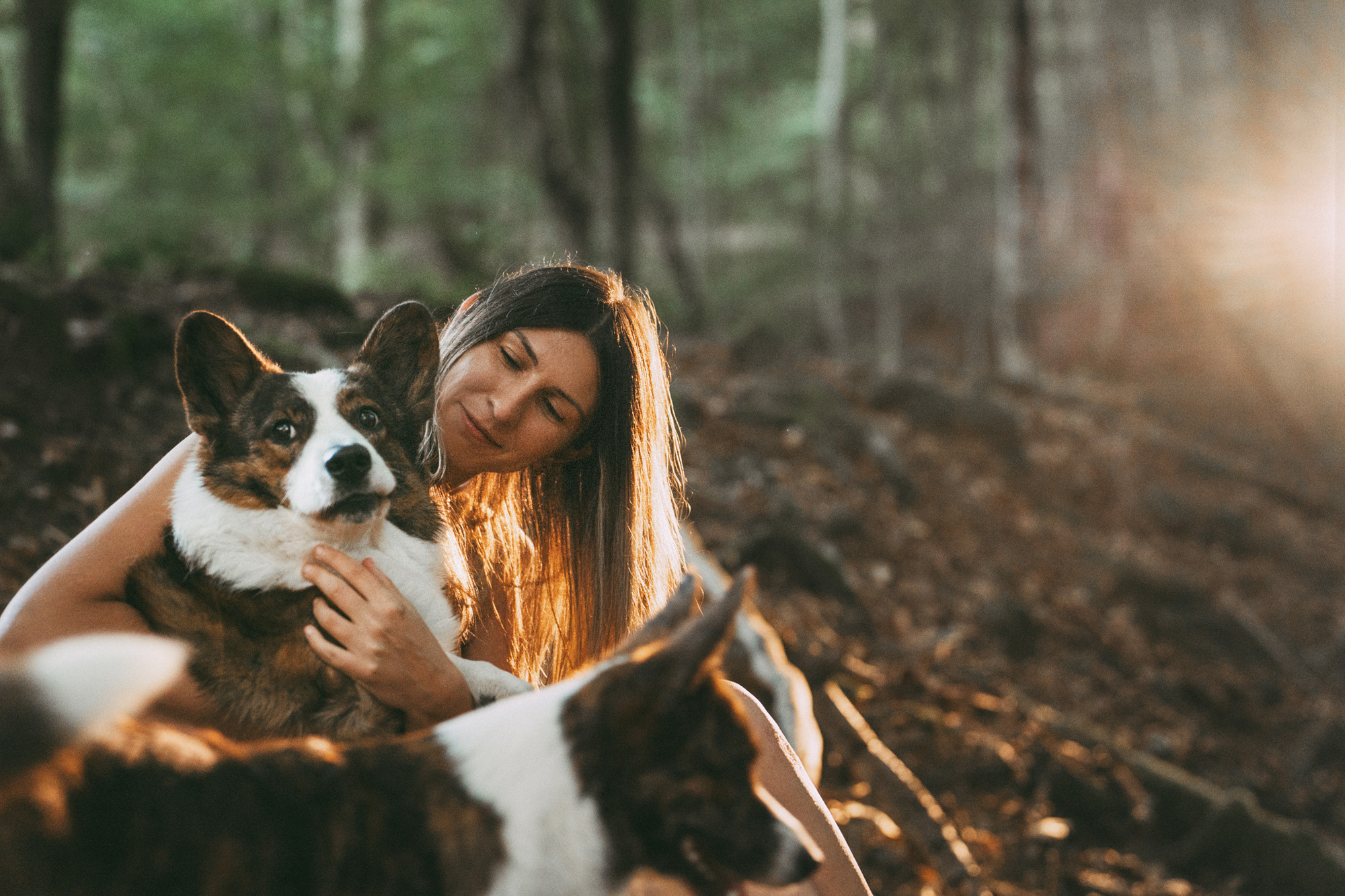 Влада и Коржики. Фотограф анималист в Москве и Санкт-Петербурге Свиридова Анна