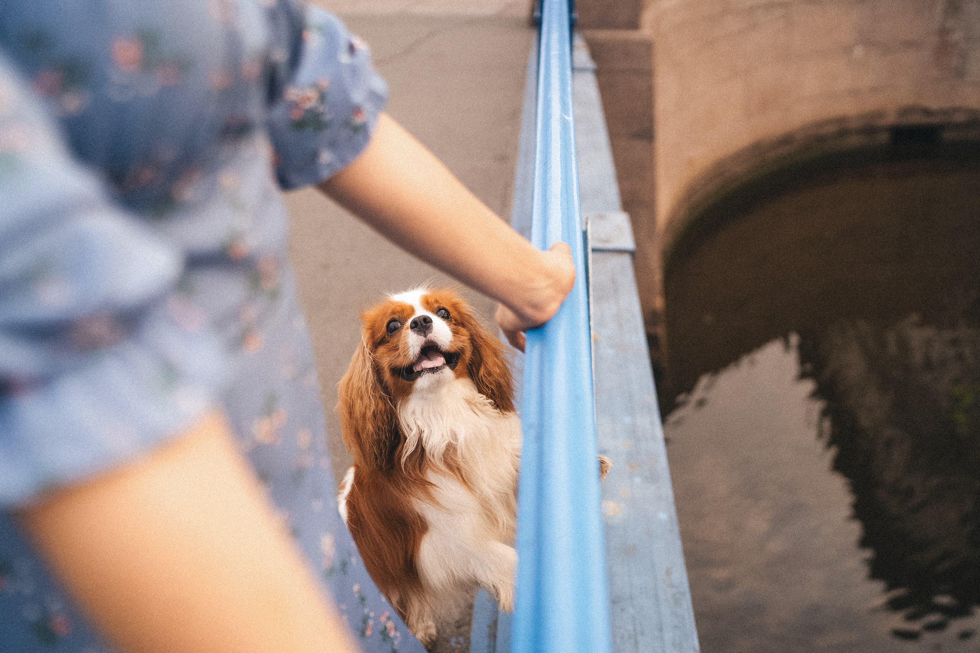 Таня и Лео. Фотограф анималист в Москве и Санкт-Петербурге Свиридова Анна